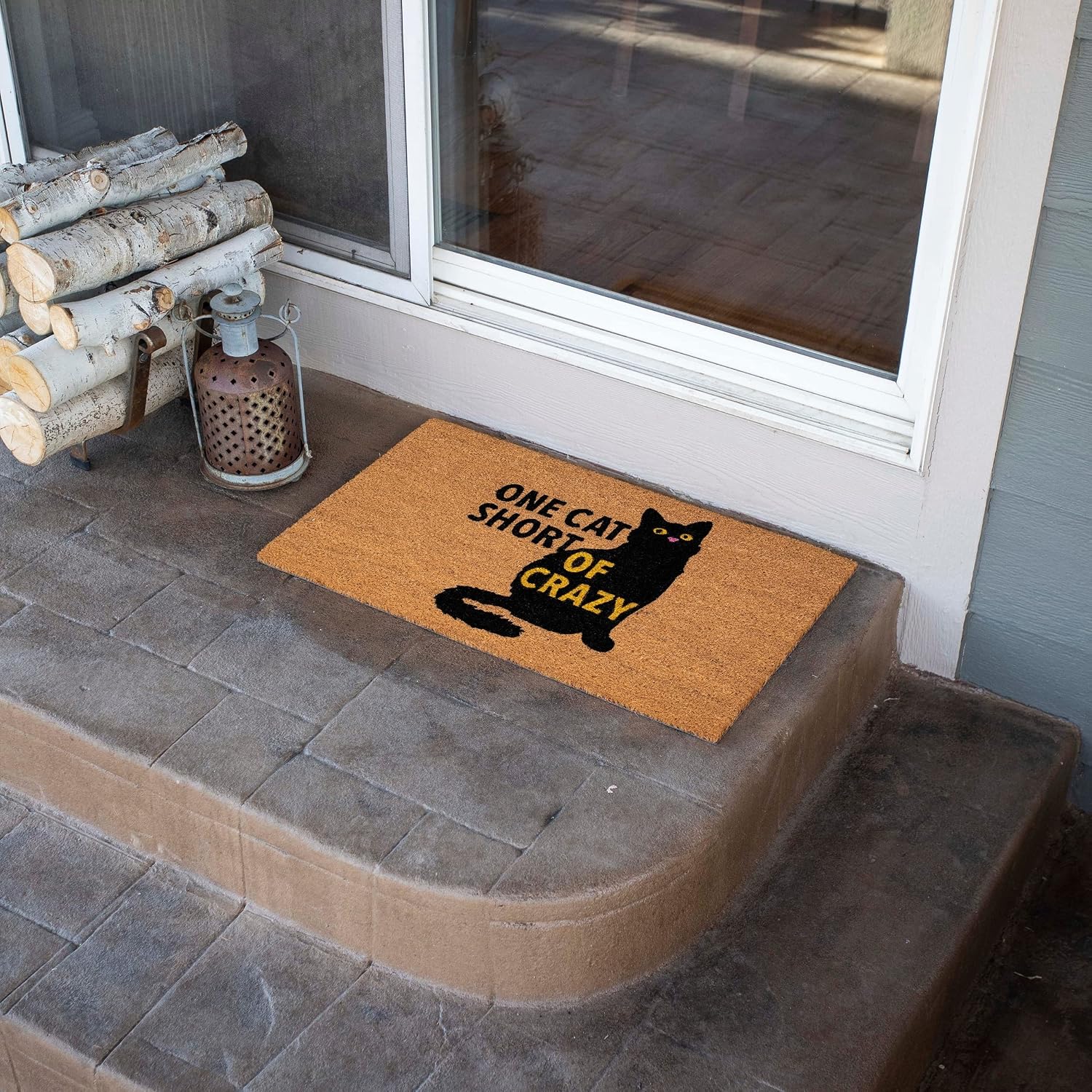 BIRDROCK HOME One Cat Short of Crazy Doormat - Funny Welcome Mat for Front Door, Porch, Entry, House, Garage, Backdoor - Indoor Outdoor Rug, Floor Mat for Home, Patio, Exterior - 18 x 30 Inch