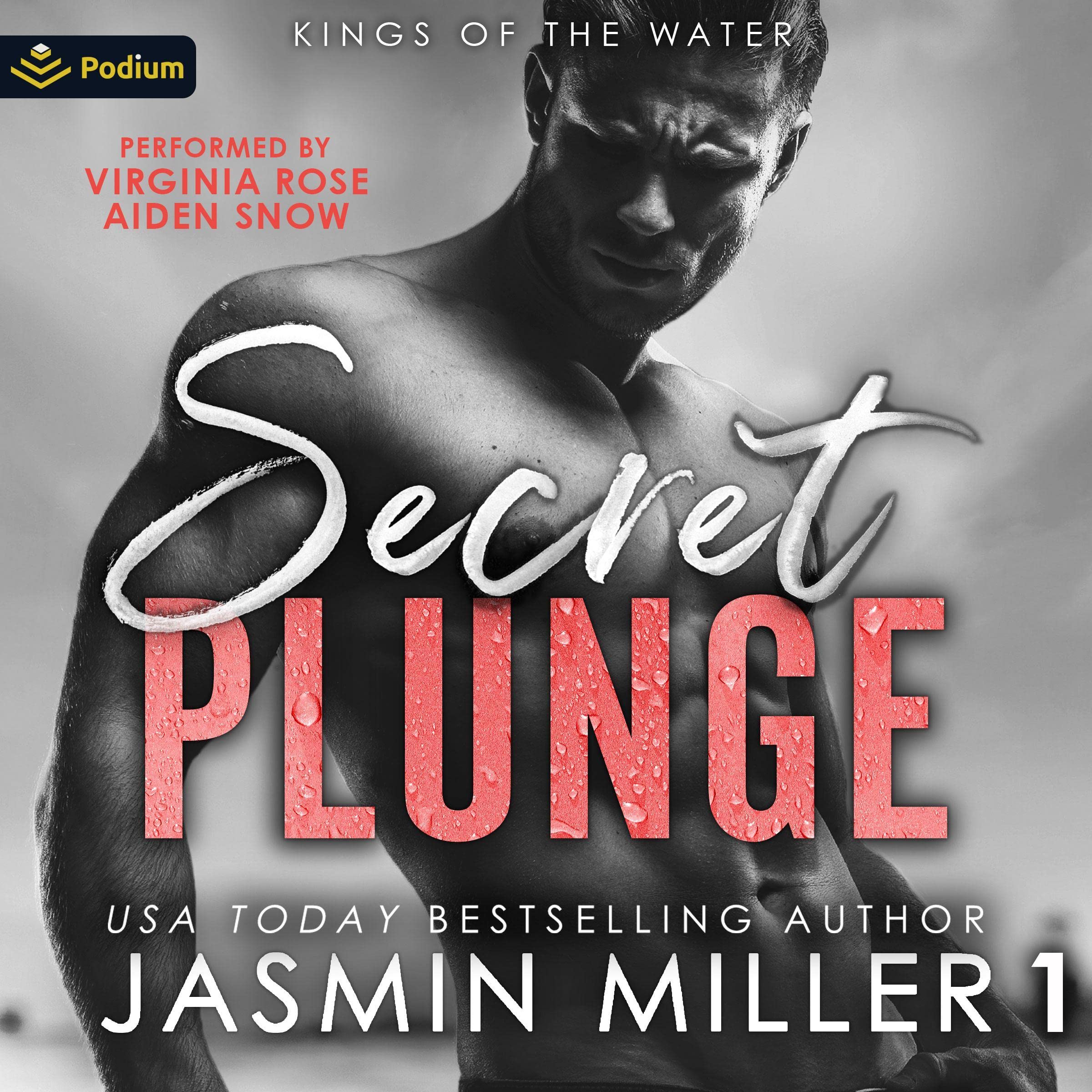 Cover art for Secret Plunge