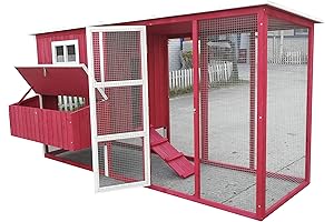 "Chicken Coop Plans for 6 Chickens: A Home for Your Feathered Friends"