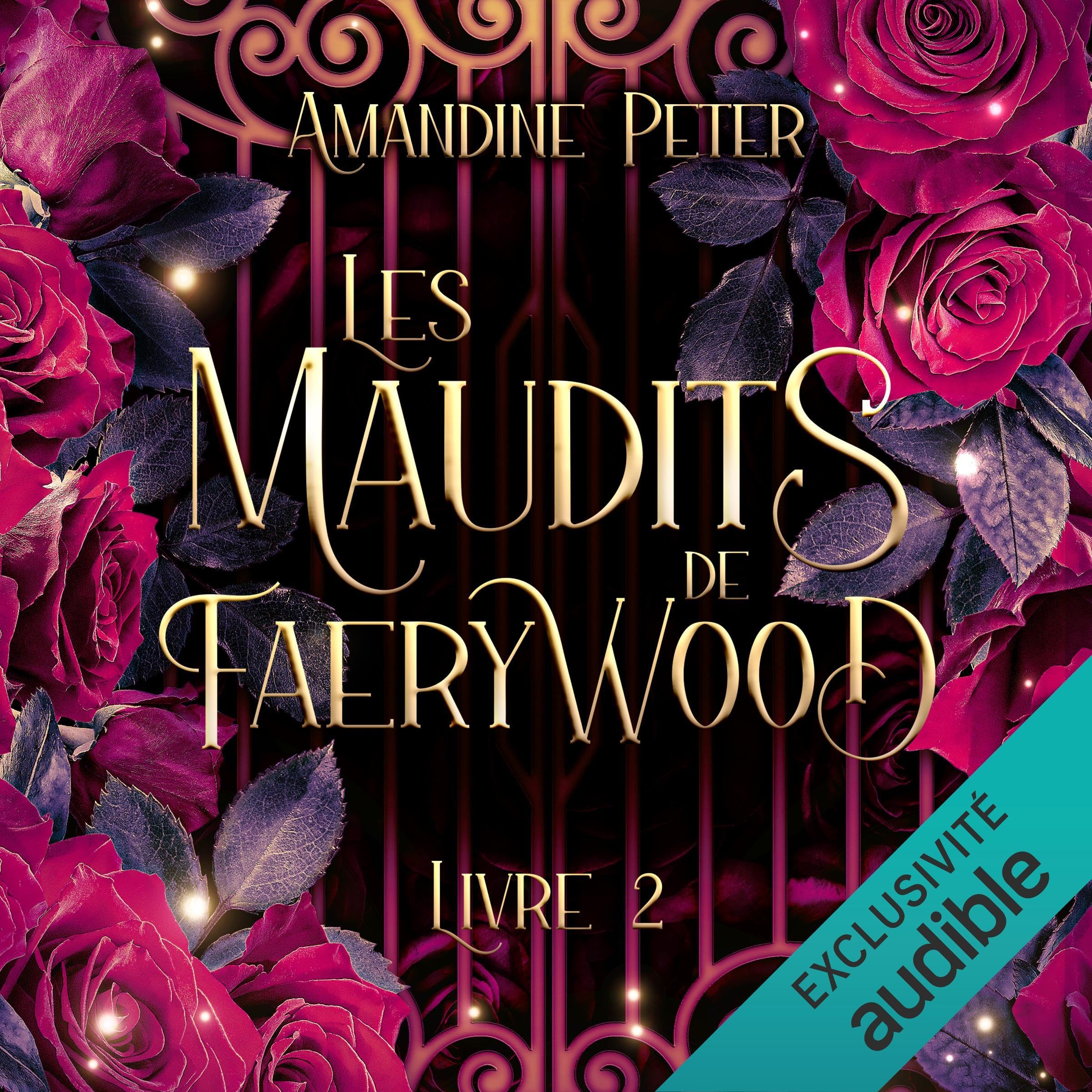 Cover art for Les Maudits de Faerywood: Les Maudits de Faerywood, Vol. 2