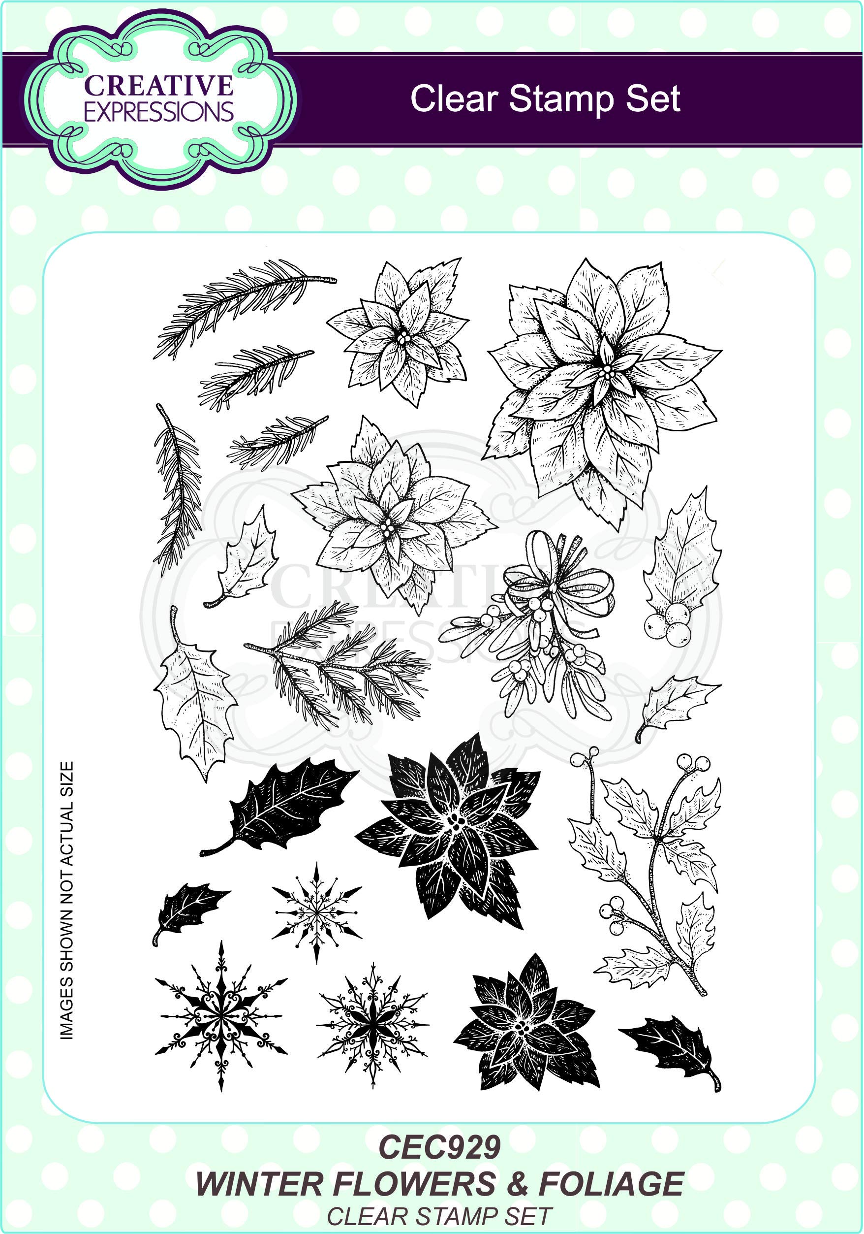 Creative Expressions Clear Wintery Flowers And Foliage A5 Stamp Set