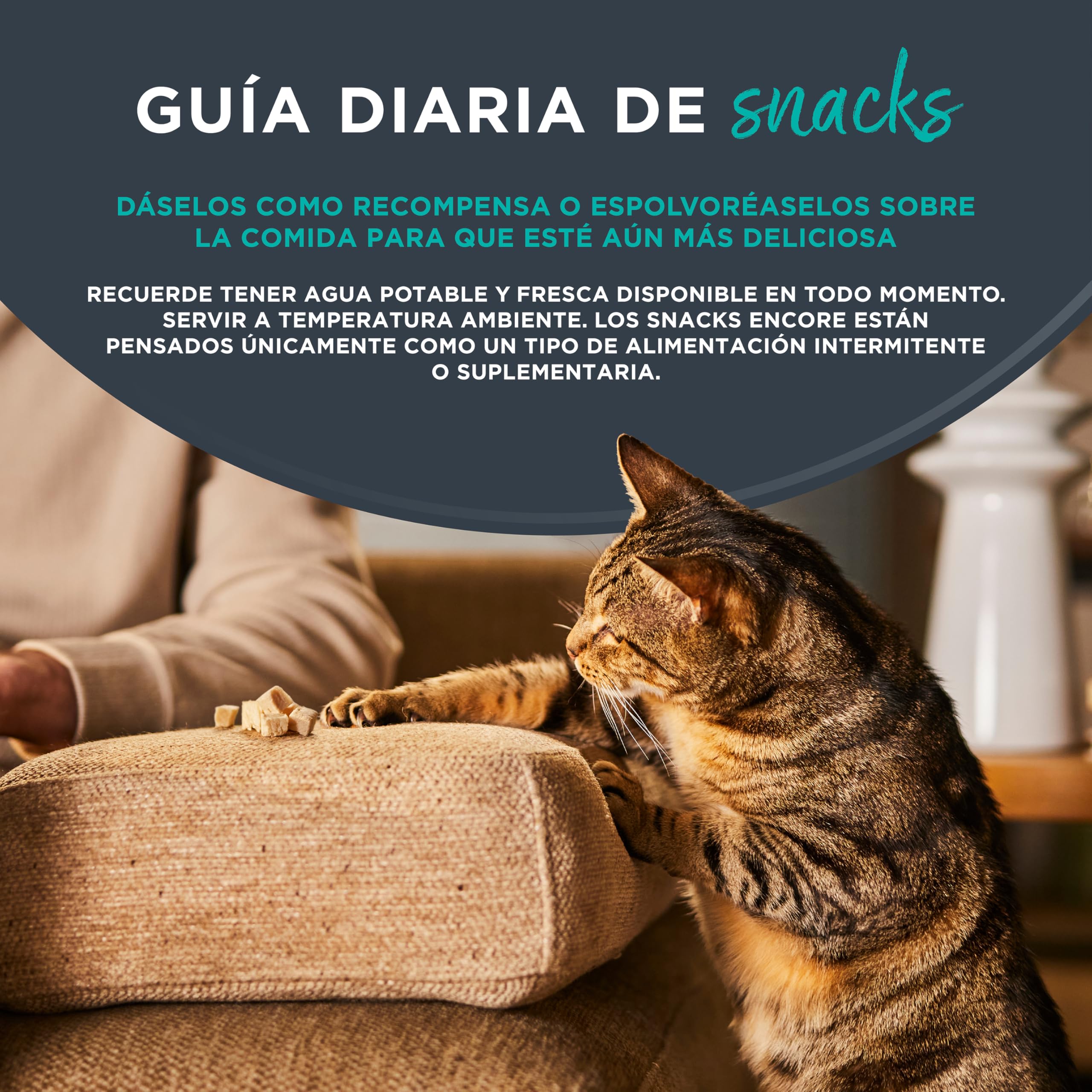 Encore Premios para Gatos 100% Naturales de Pechuga de Pollo, Congelados al Vacío, Snacks Saludables para Gatos Sin Granos para Recompensas y Entrenamiento - Paquete de 12 Bolsitas de 10 g