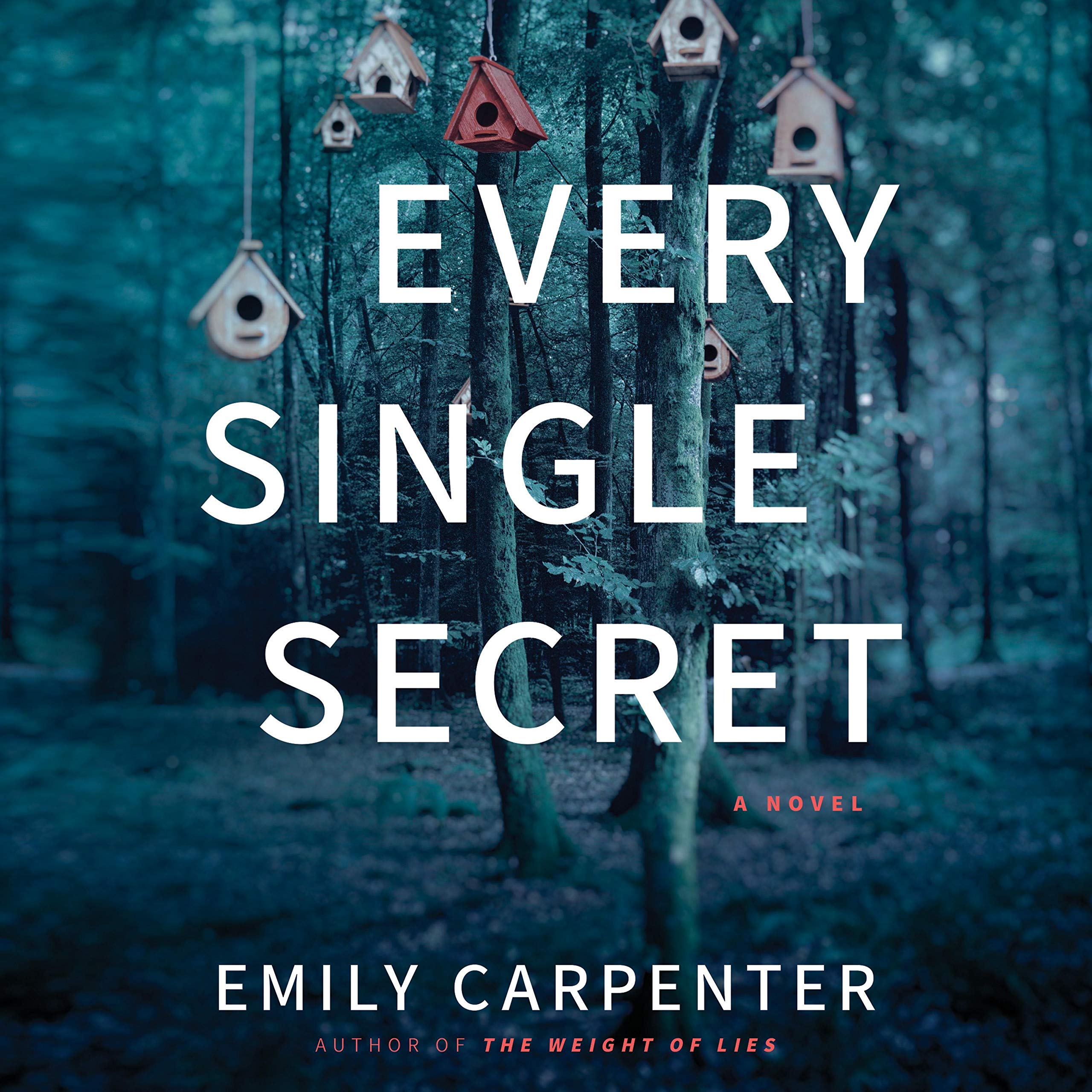 Cover art for Every Single Secret