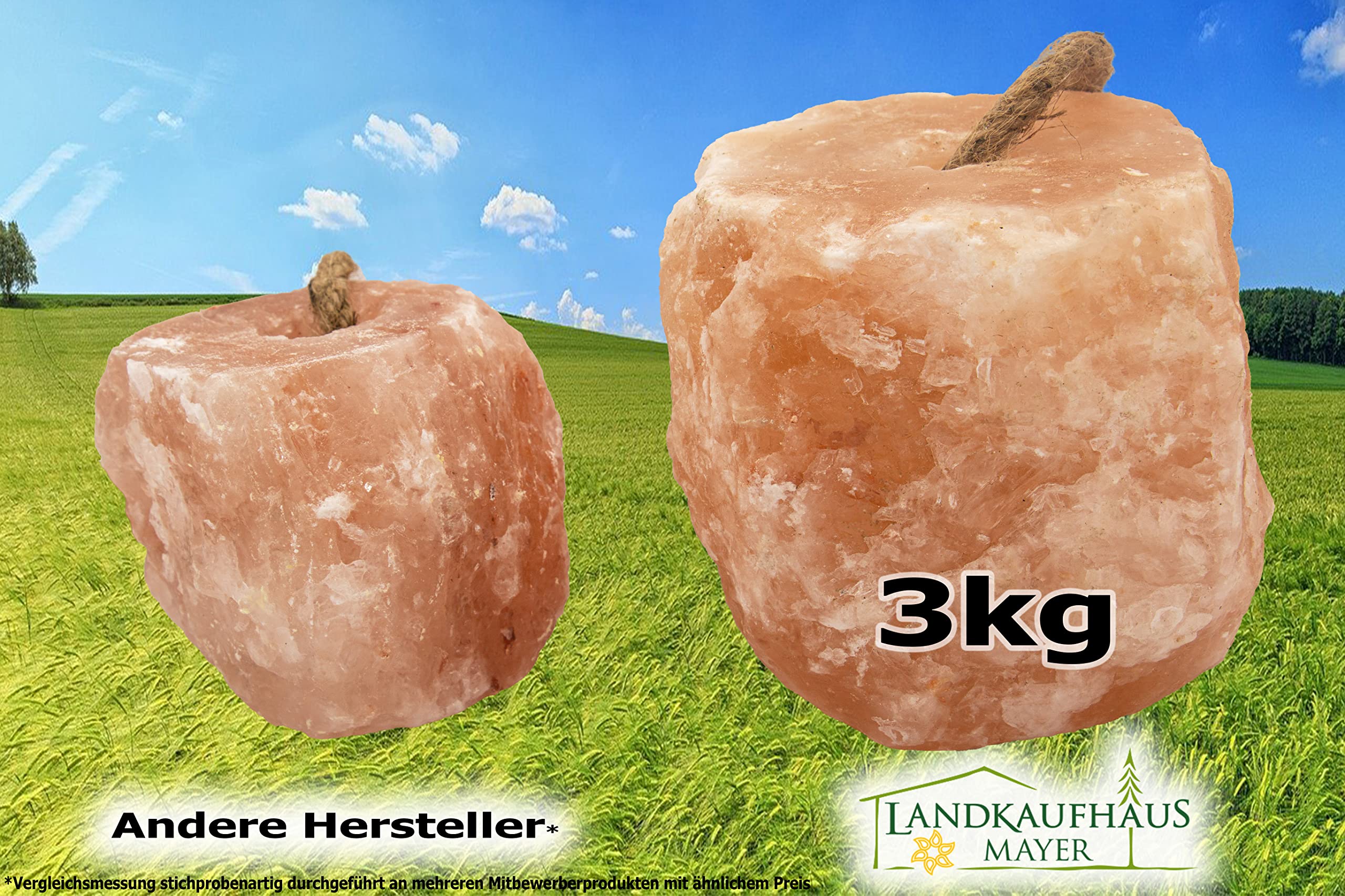 Salzleckstein 6 Stück 19,5 kg Himalaya Premiumqualität