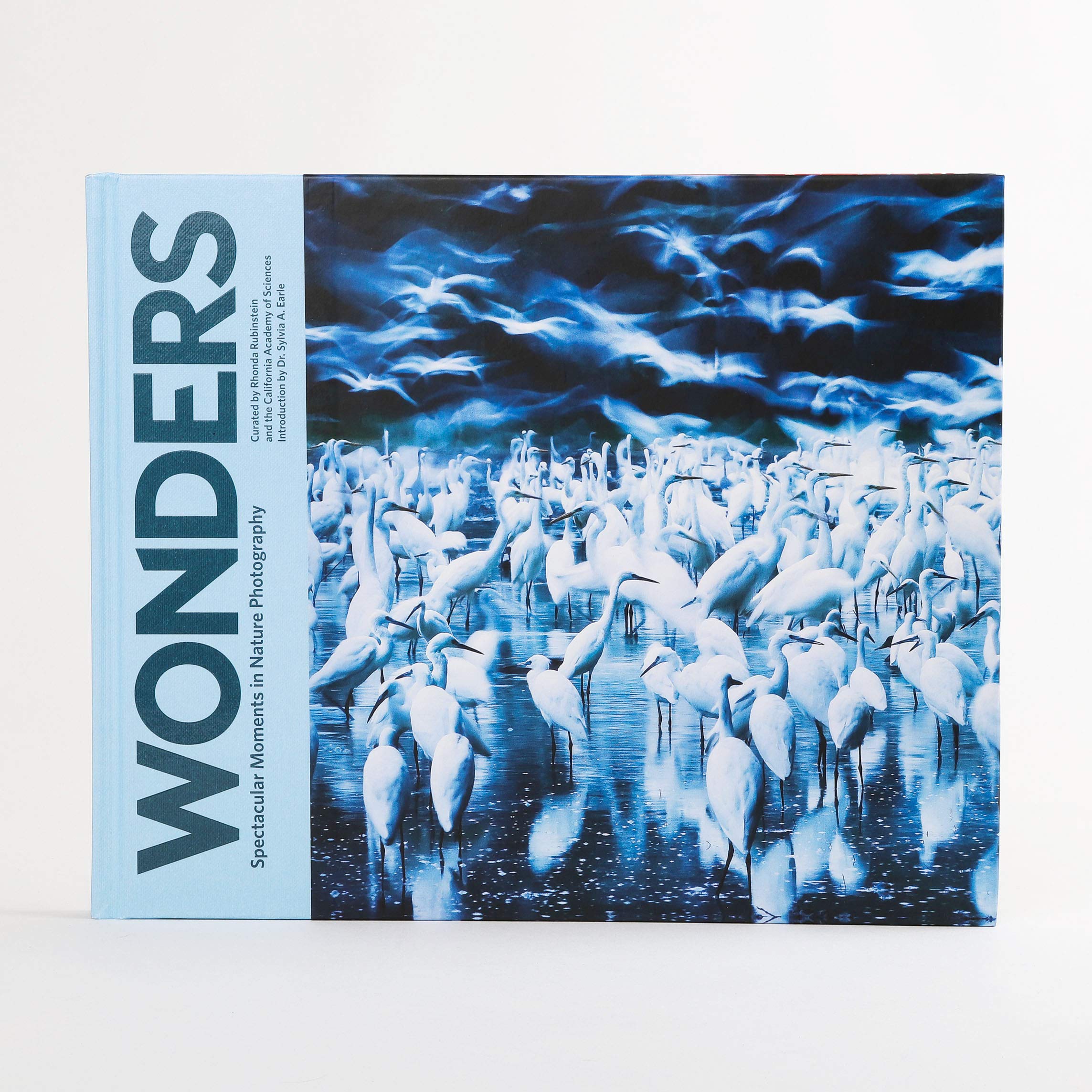 Wonders : Spectacular Moments In Nature