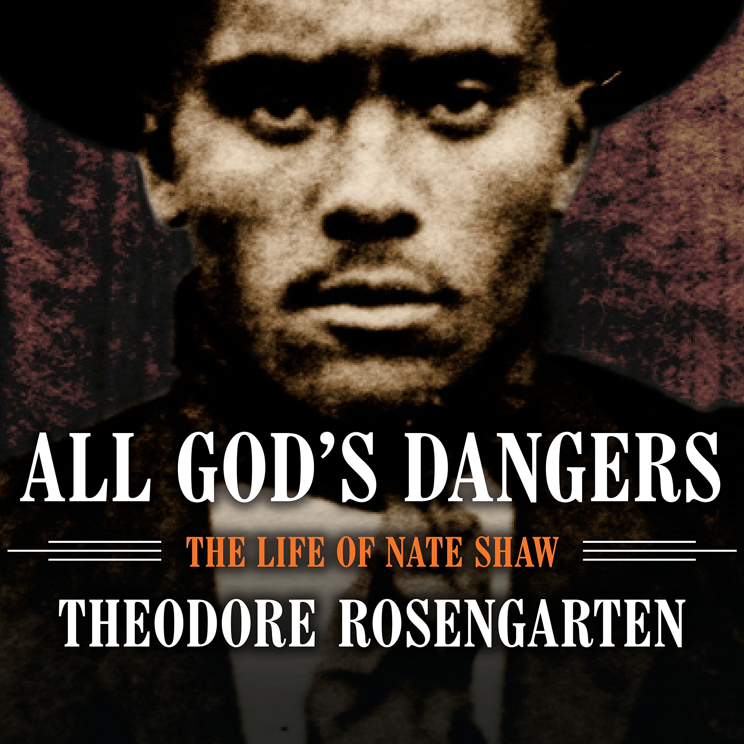 Cover art for All God's Dangers