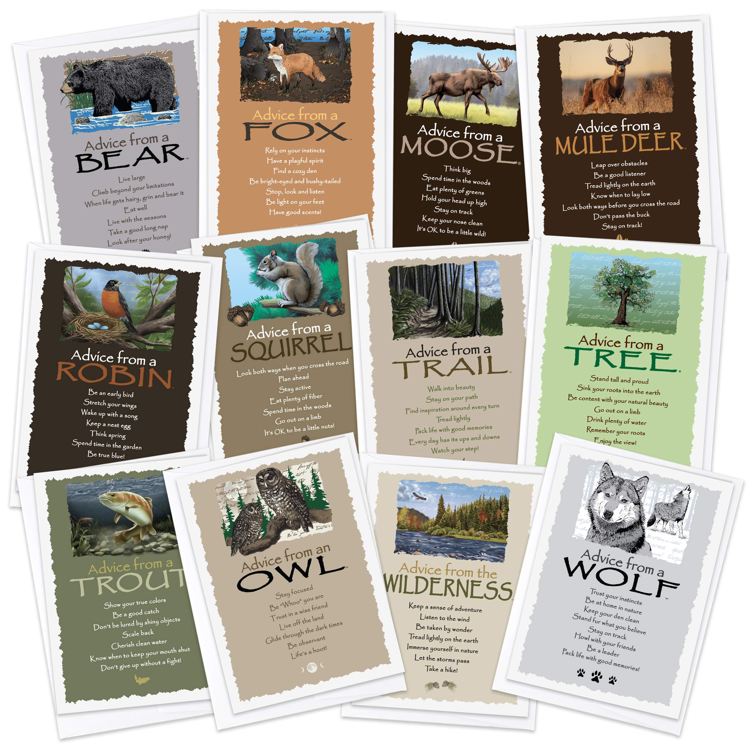 Your True Nature 12 Forest/Woodland Greeting Card Set, Advice from the Wilderness, Moose, Bear, Fox, Squirrel, Robin, Mule Deer, Trail, Trout, Wolf,