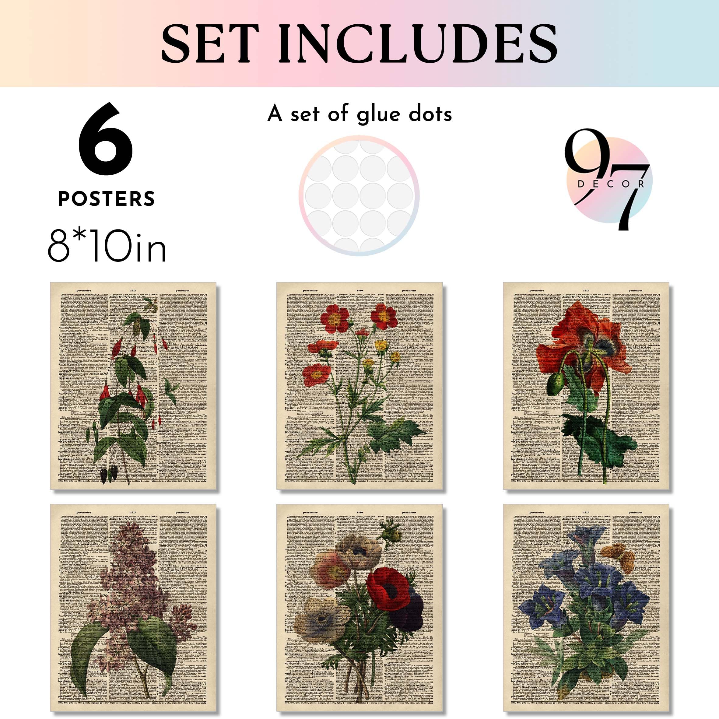 Amazon.com: 97 Decor Vintage Botanical Wall Art, 6 Flower Prints