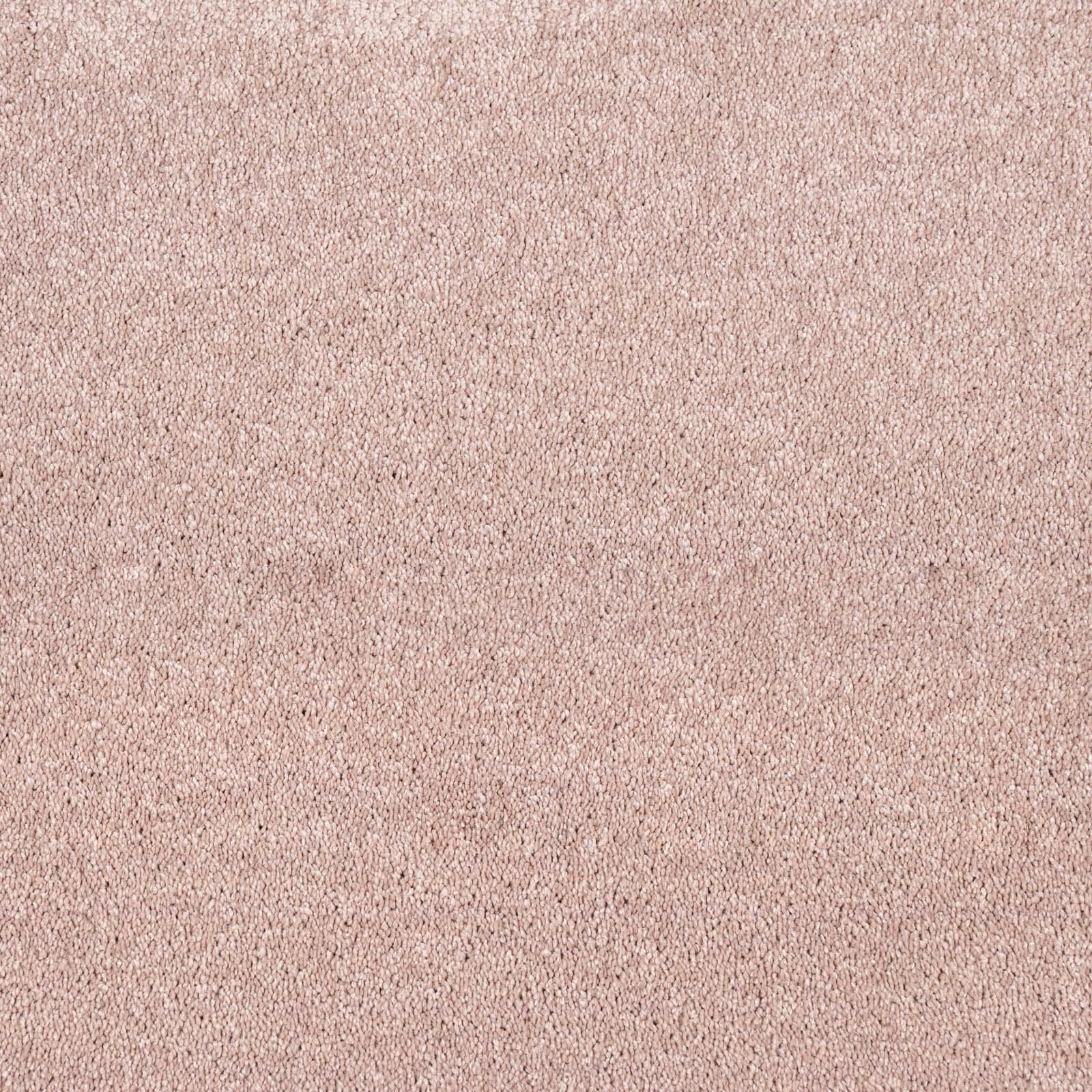 Alberta Saxony Carpet Action Backed Stain Resistant Polyester Carpet (Rose Petal - 4m x 4m)