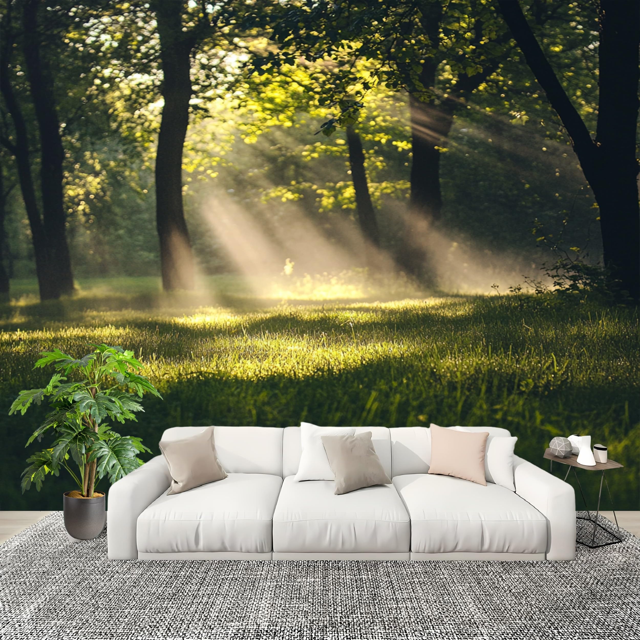 Papier Peint Panoramique Nature 3D Grand Format Grand Poster Mural
