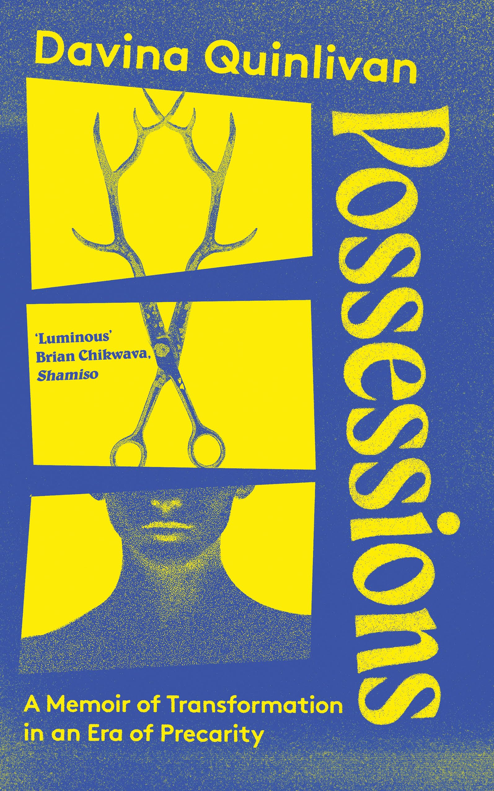 Possessions: A Memoir of Transformation in an Era of... - Quinlivan, Davina