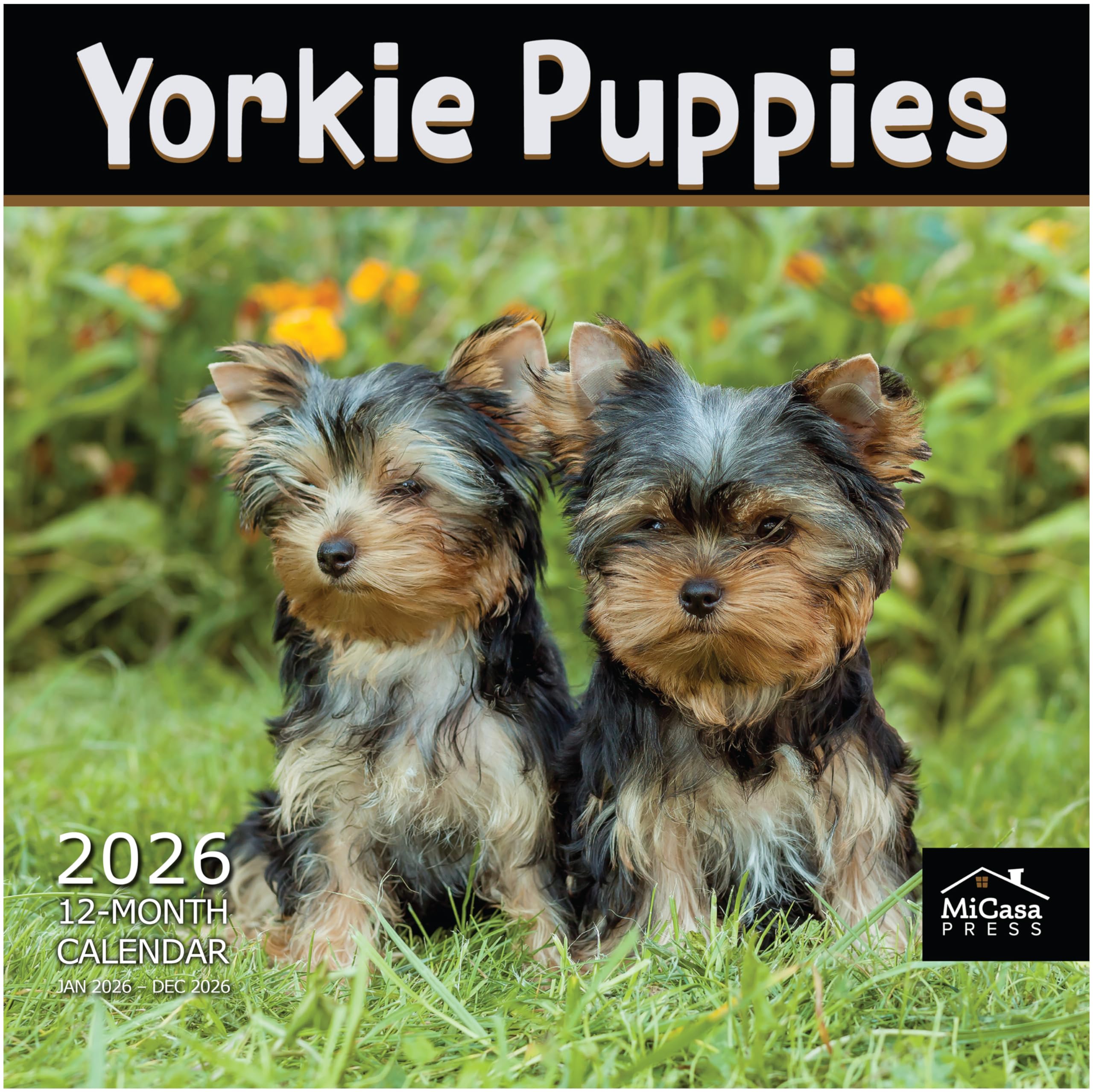 MICASA PRESS Yorkie Puppies Yorkshire Terriers 2026 Wall Calendar 12 Month | 12" x 24" Open | Thick &amp; Sturdy Paper |Giftable | Cute Puppy Dog Calendar 2026