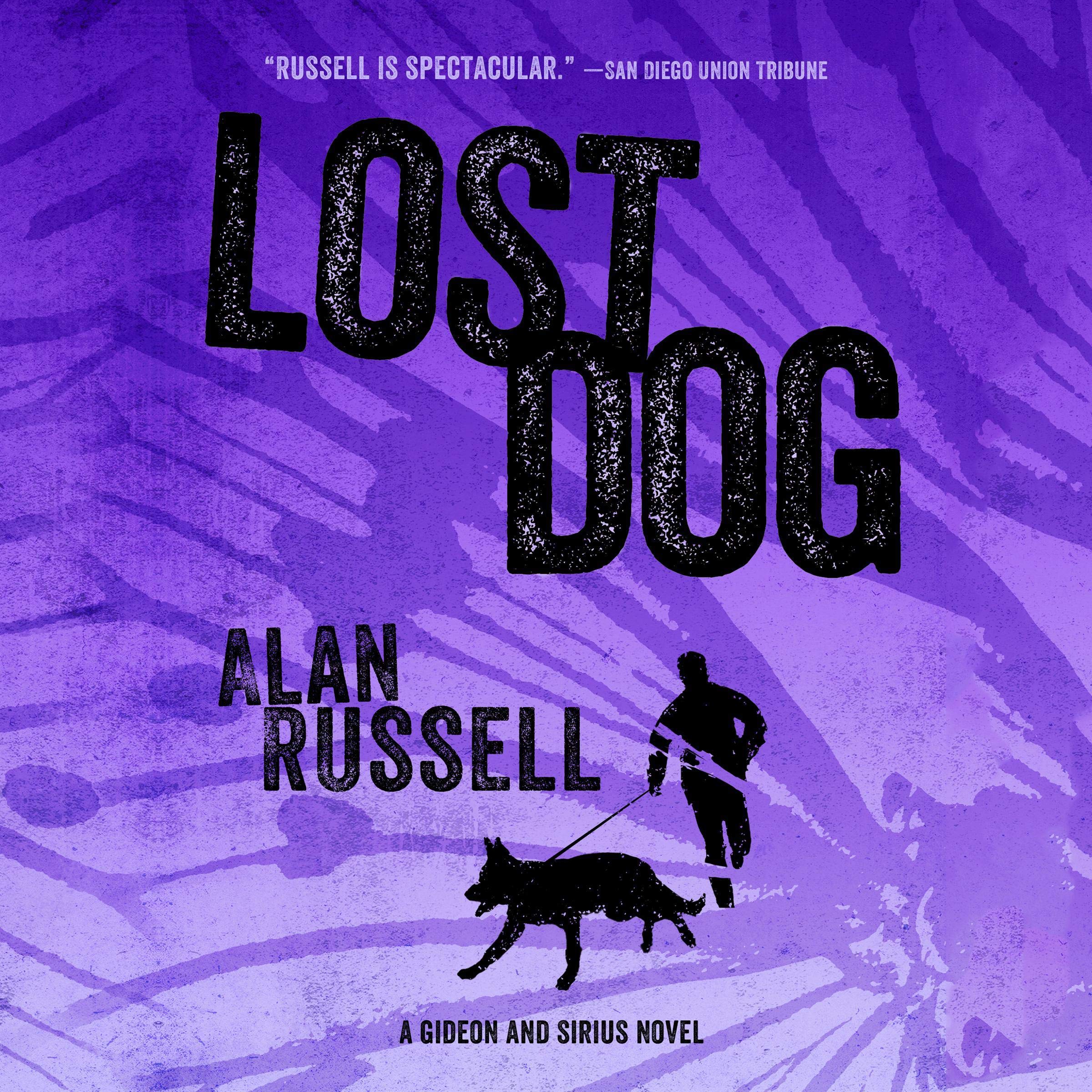 Cover art for Lost Dog