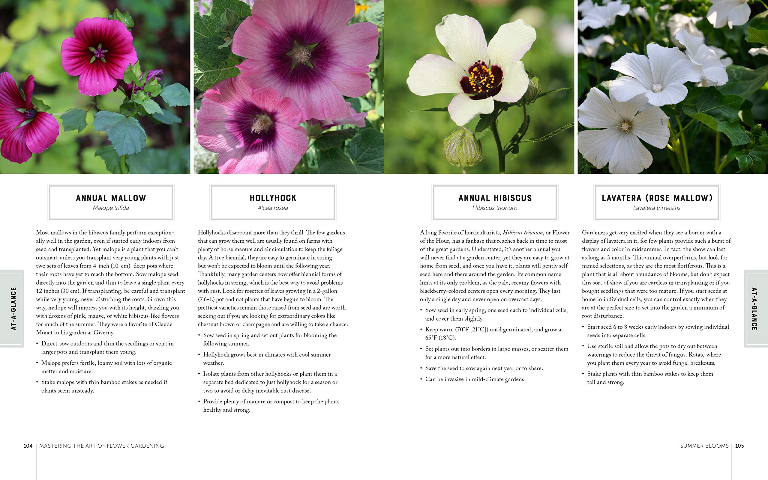 Mastering the Art of Flower Gardening: A Gardener's Guide to Growing Flowers, from Today's Favorites to Unusual Varieties