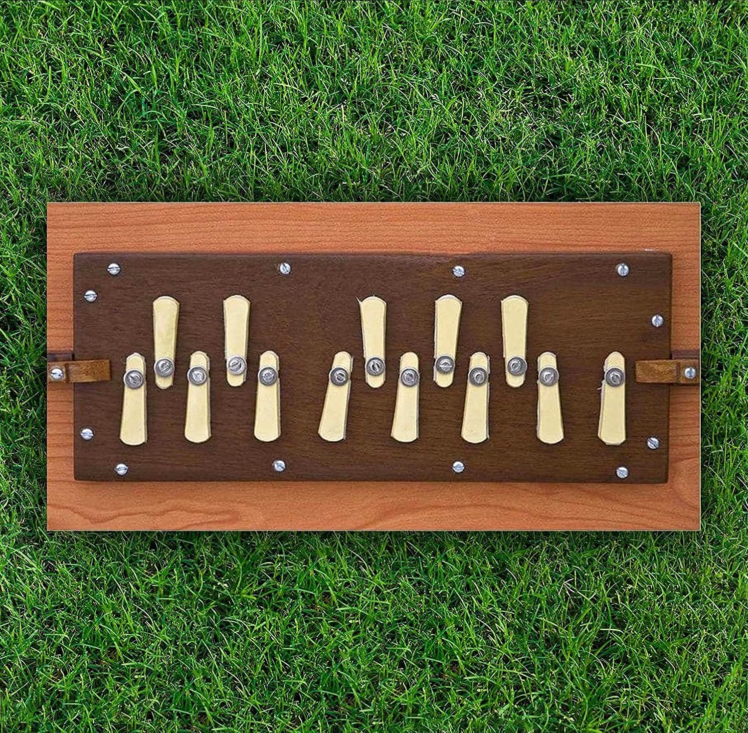 20 Best Shruti Boxes in 2023 [According to 368 Experts]