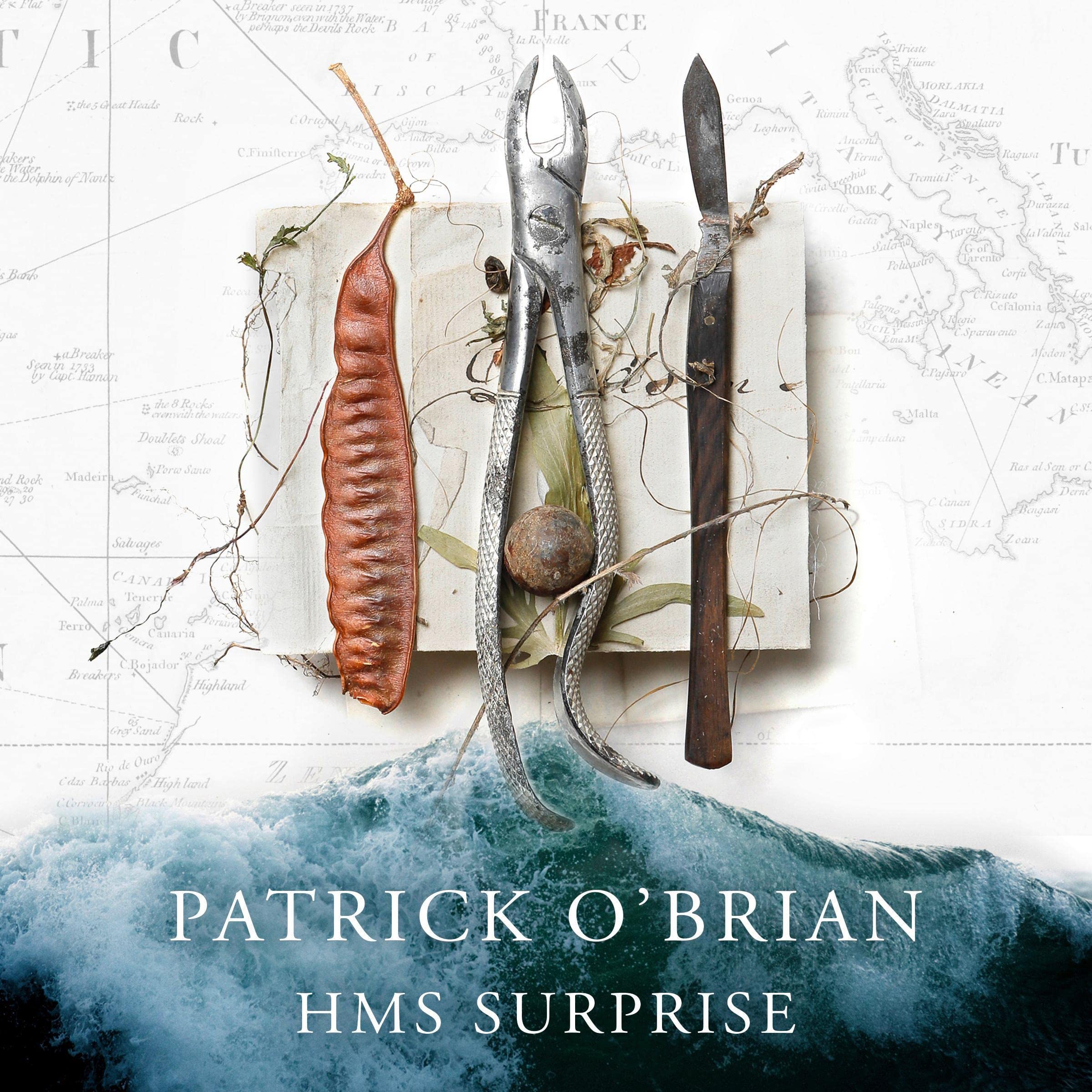 Cover art for HMS Surprise