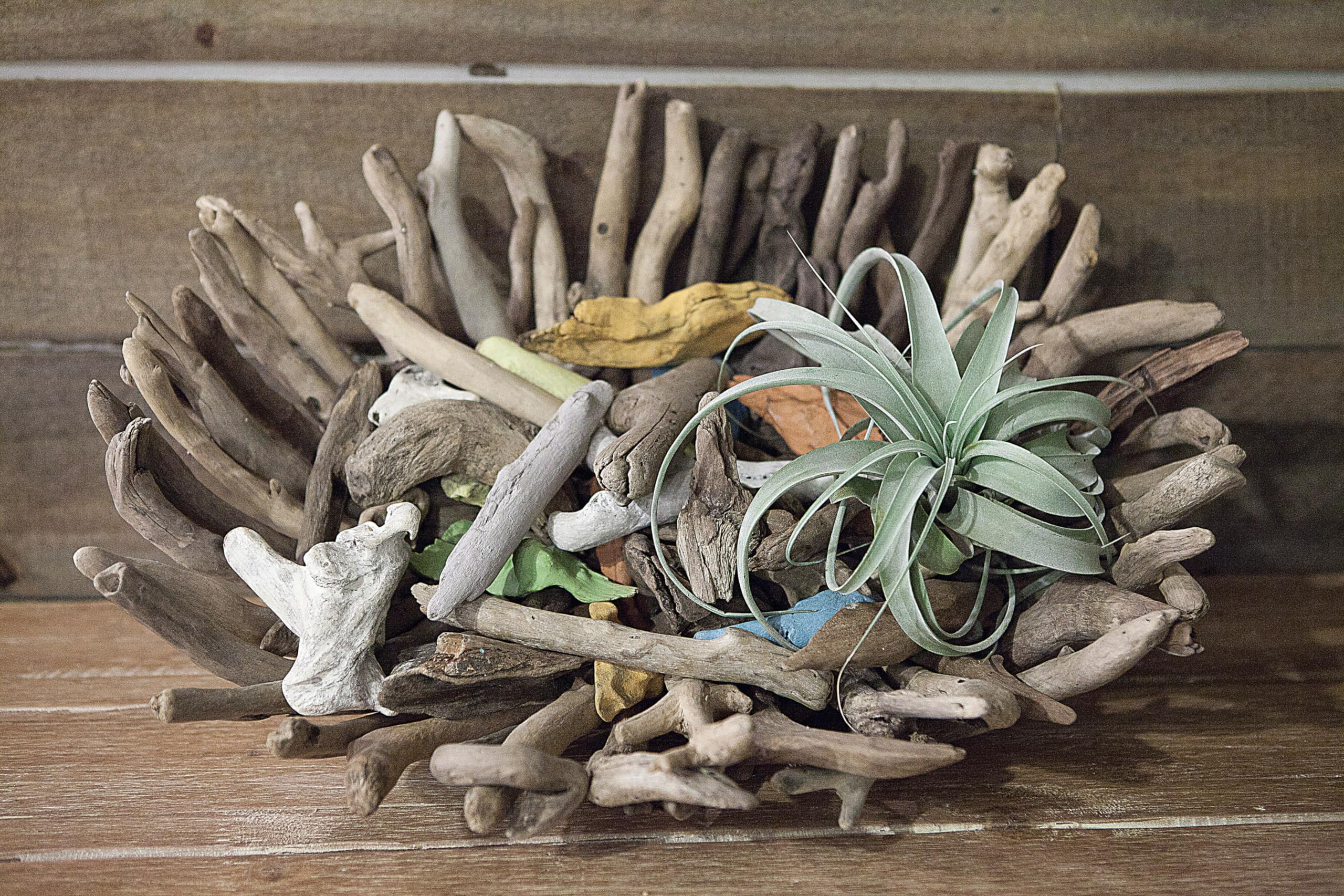 流木 インテリア約 170cm 木製台座付　driftwood interior 流木 インテリア約 170cm 木製台座付 driftwood interior