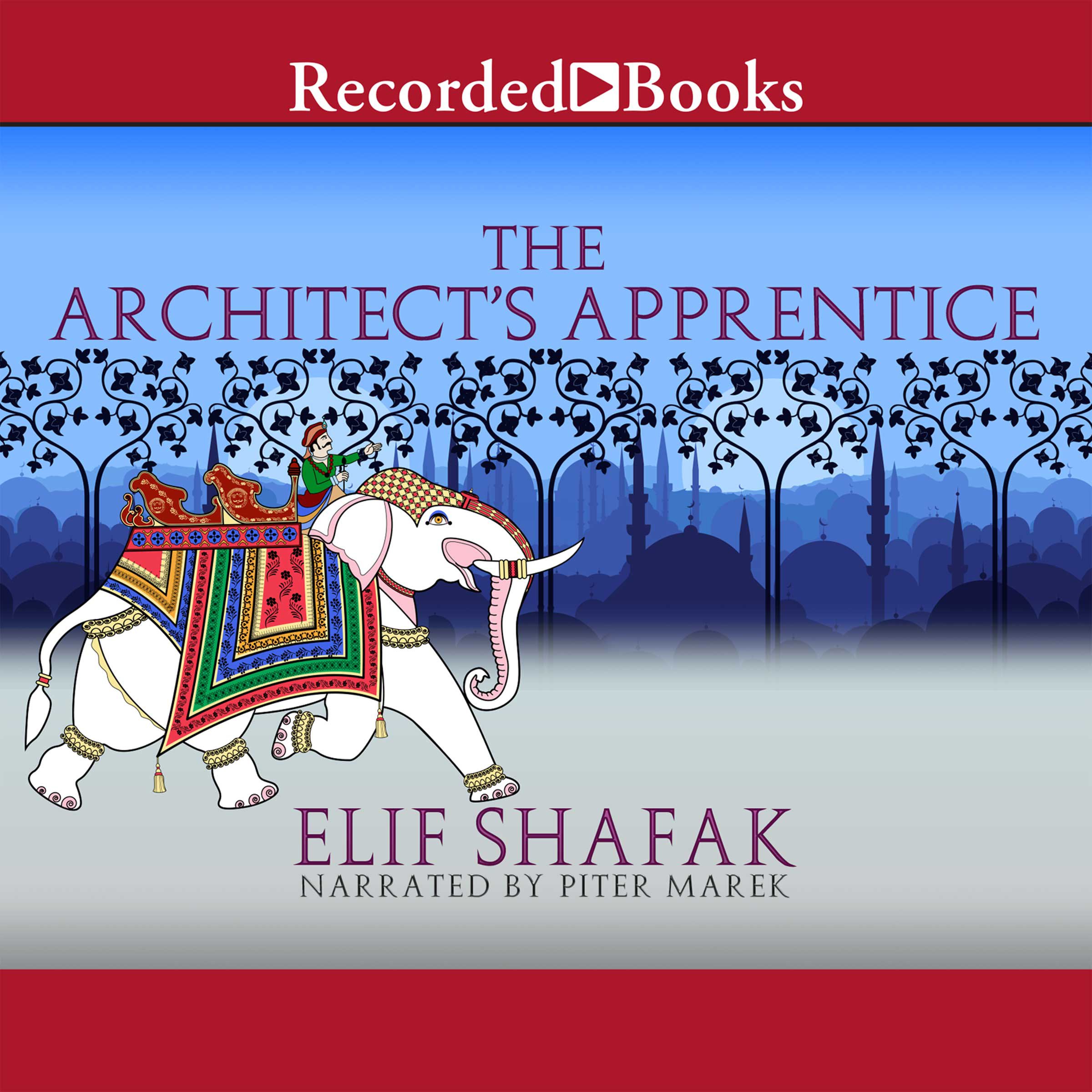 Cover art for The Architect's Apprentice