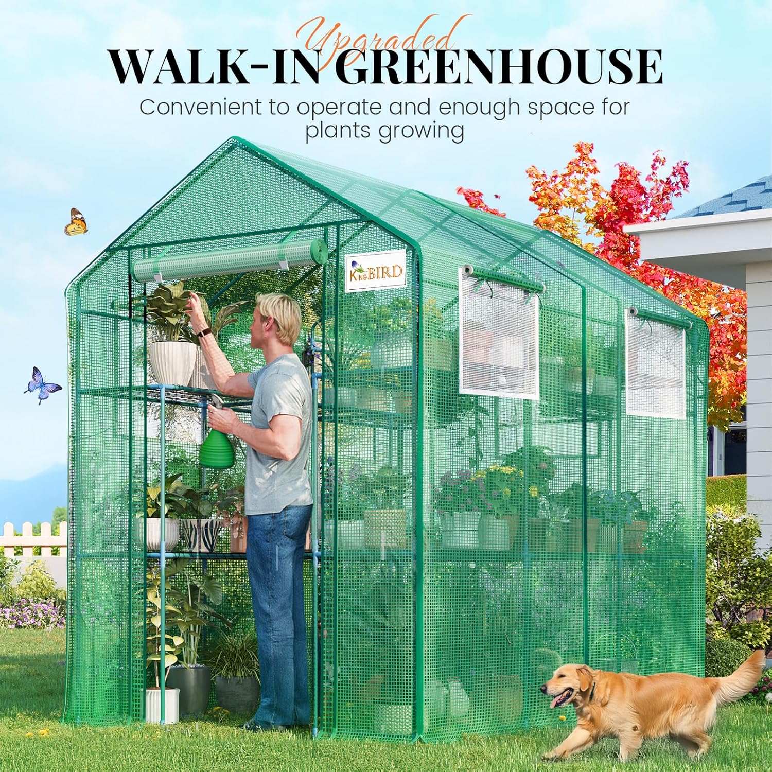 KING BIRD Premium Greenhouse for Outdoors, 84x56x77 in Walk-in Hot House with Thickened Cover, Reinforced Frame, Screen Windows & Mesh Door, 3 Tiers 20 Shelves for Outside Garden Seedlings, Green