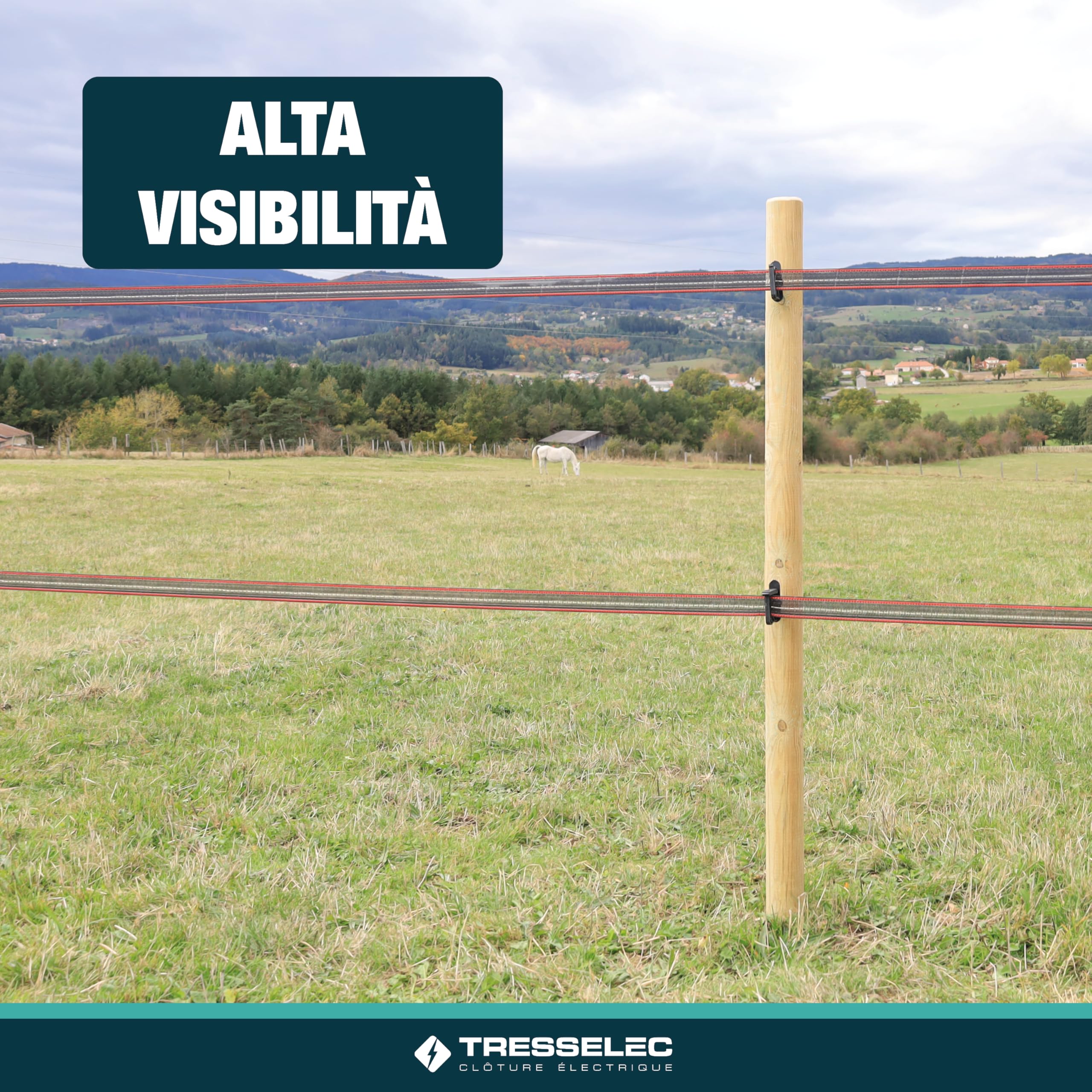 Isolatori a vite per recinzioni elettriche - Confezione da 50 pezzi - Per funi, corde, nastri fino a 40 mm - Da avvitare - Per pali in legno - Chiusura a clip