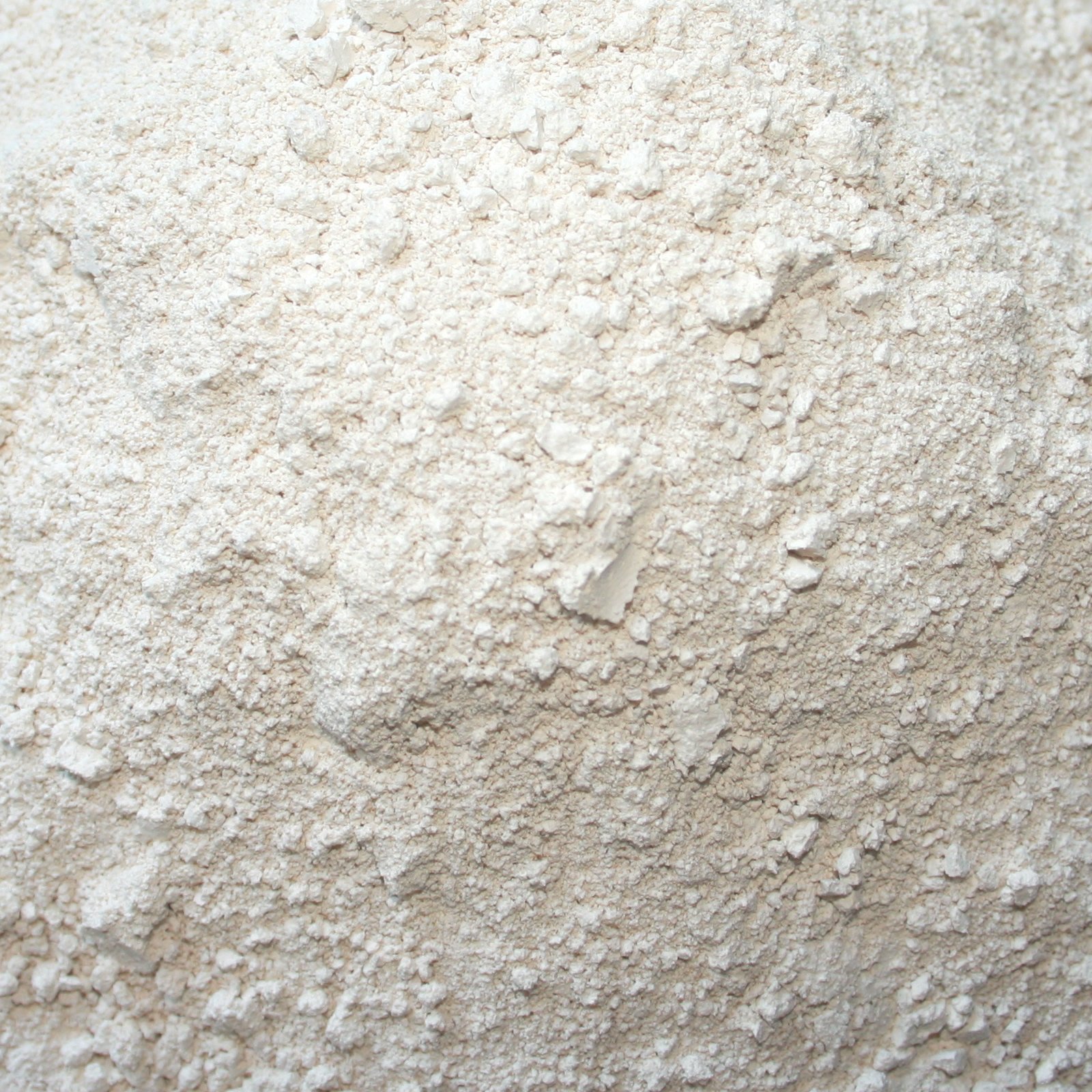 Tomodachi Futterzusatz Katze Kieselerde Plus Biotin natürliche Kieselgur Plus Bierhefe für eine ausgewogene Ernährung reich an natürlichem Silizium, Calzium, Mineralien, Spurenelementen 5 Liter Eimer