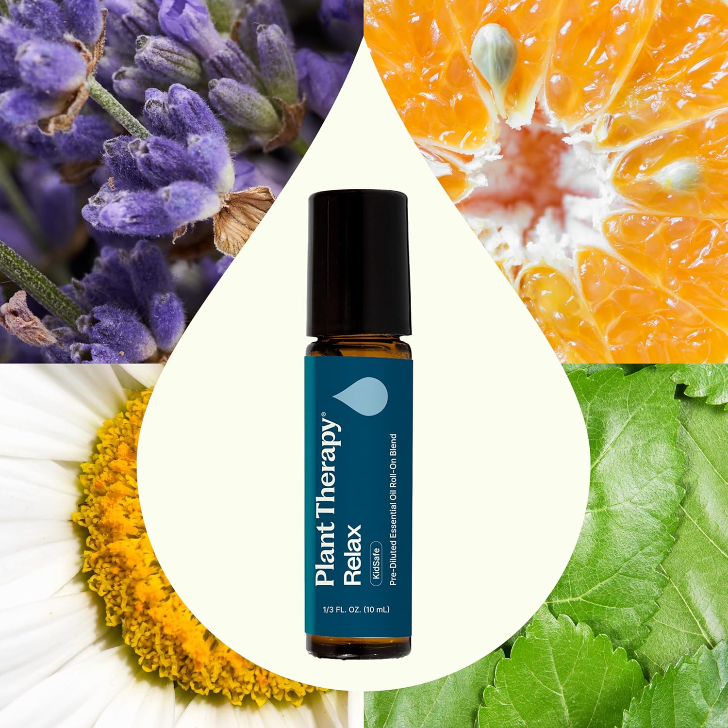 Plant Therapy Relax Essential Oil Blend Pre-Diluted Roll On 10 mL (1/3 oz) 100% Pure, Natural Aromatherapy for Stress Relief and Better Sleep - Image 3