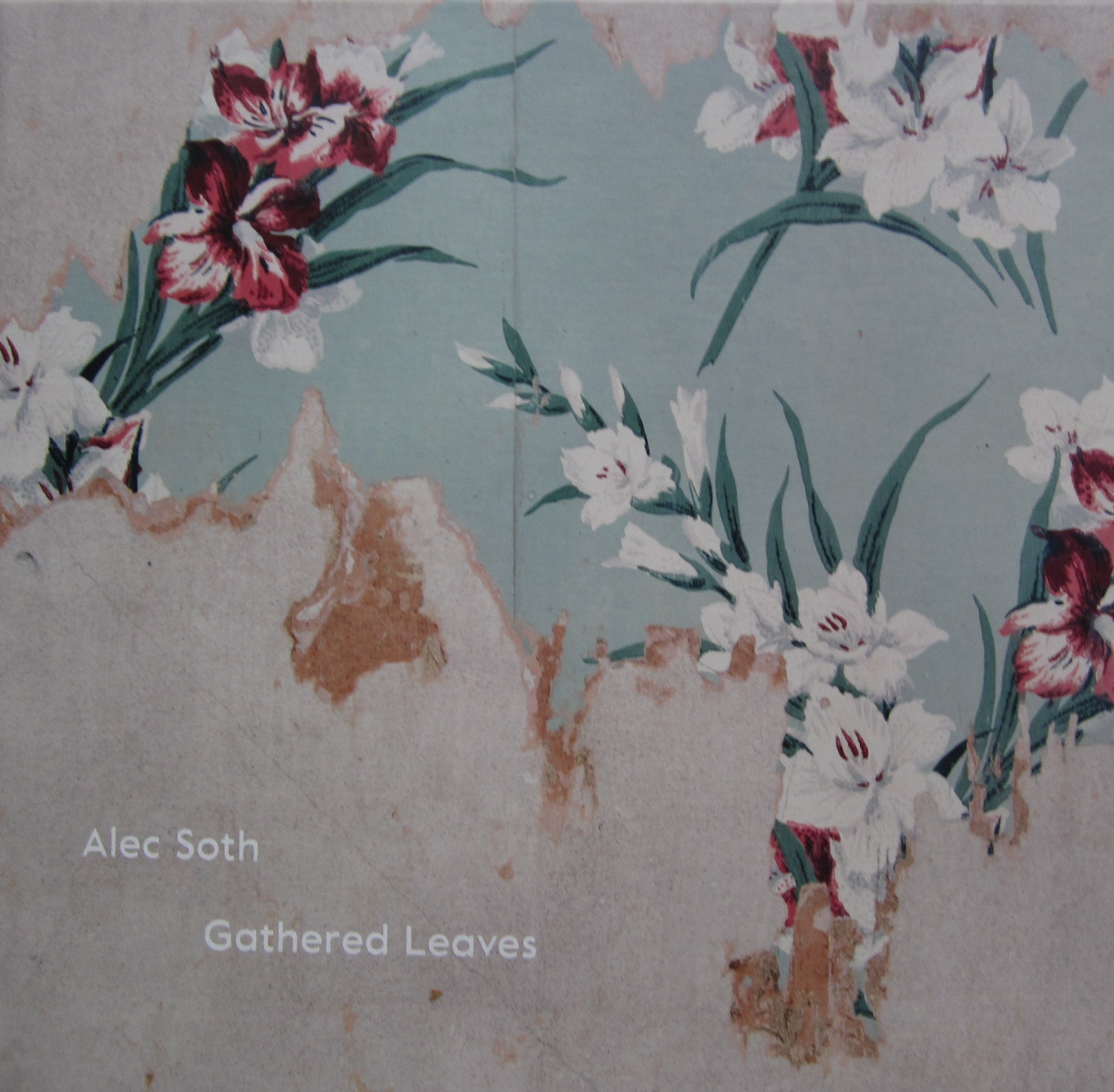 Amazon.co.jp: Alec Soth: 本、バイオグラフィー、最新アップデート