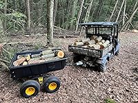 Review Image by Hammer Hammer