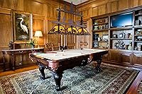 Vista 6 de TOCHIC Luz rústica para mesa de billar para sala de juegos, cueva de hombre, club, bar, comedor, isla de cocina