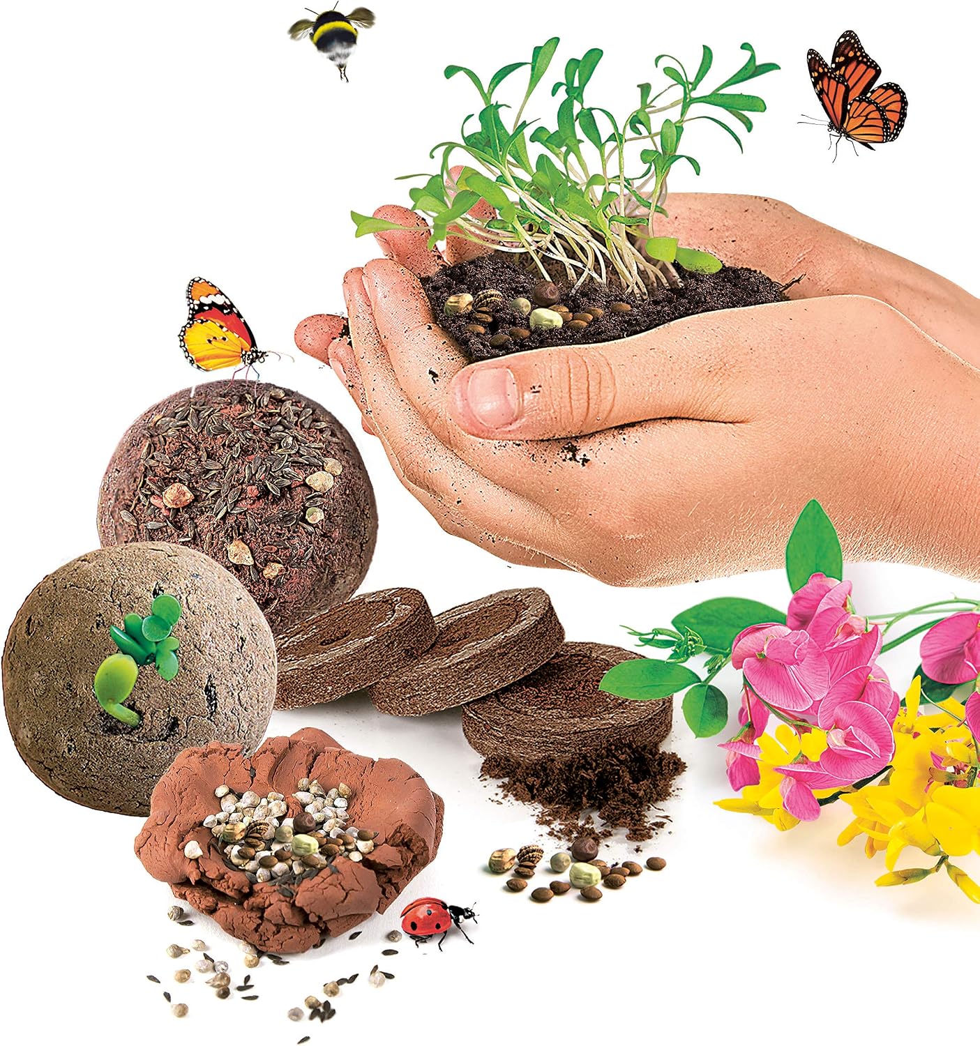 Clementoni- Science Seed Bombs Play for Future Scientific- Botanical Game Child - French Version, Made in It, 52493 - Image 3