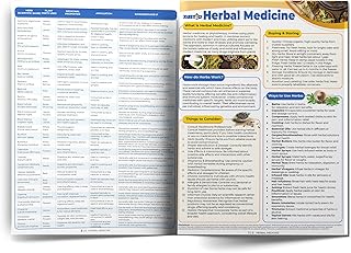 Herbal Medicine Chart 140 Herbs - 9"x12" Herbal Spice Knowledge Chart - Holistic Herbal Guide to Health & Wellness - Holistic Medicine Cabinet Spice Dictionary - Medicinal Herbal Reference Guide