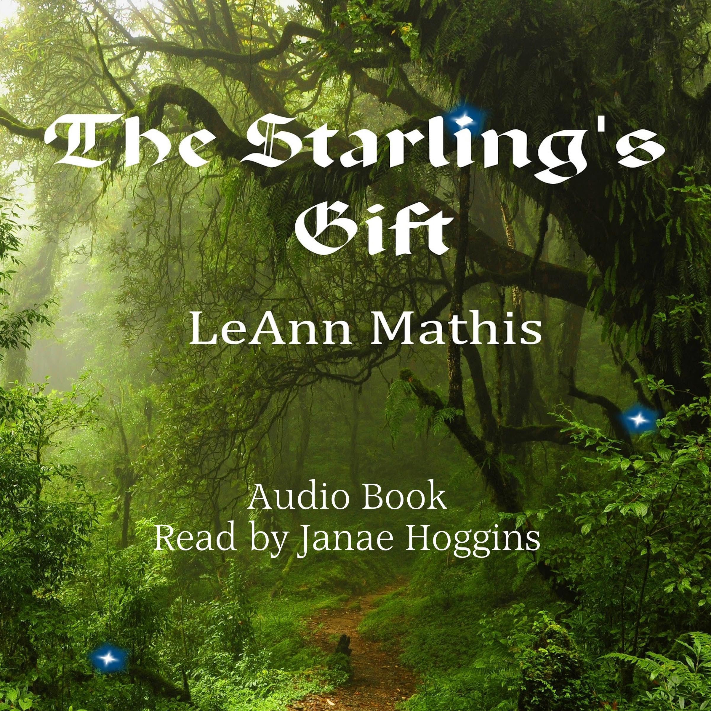 Cover art for The Starlings Gift