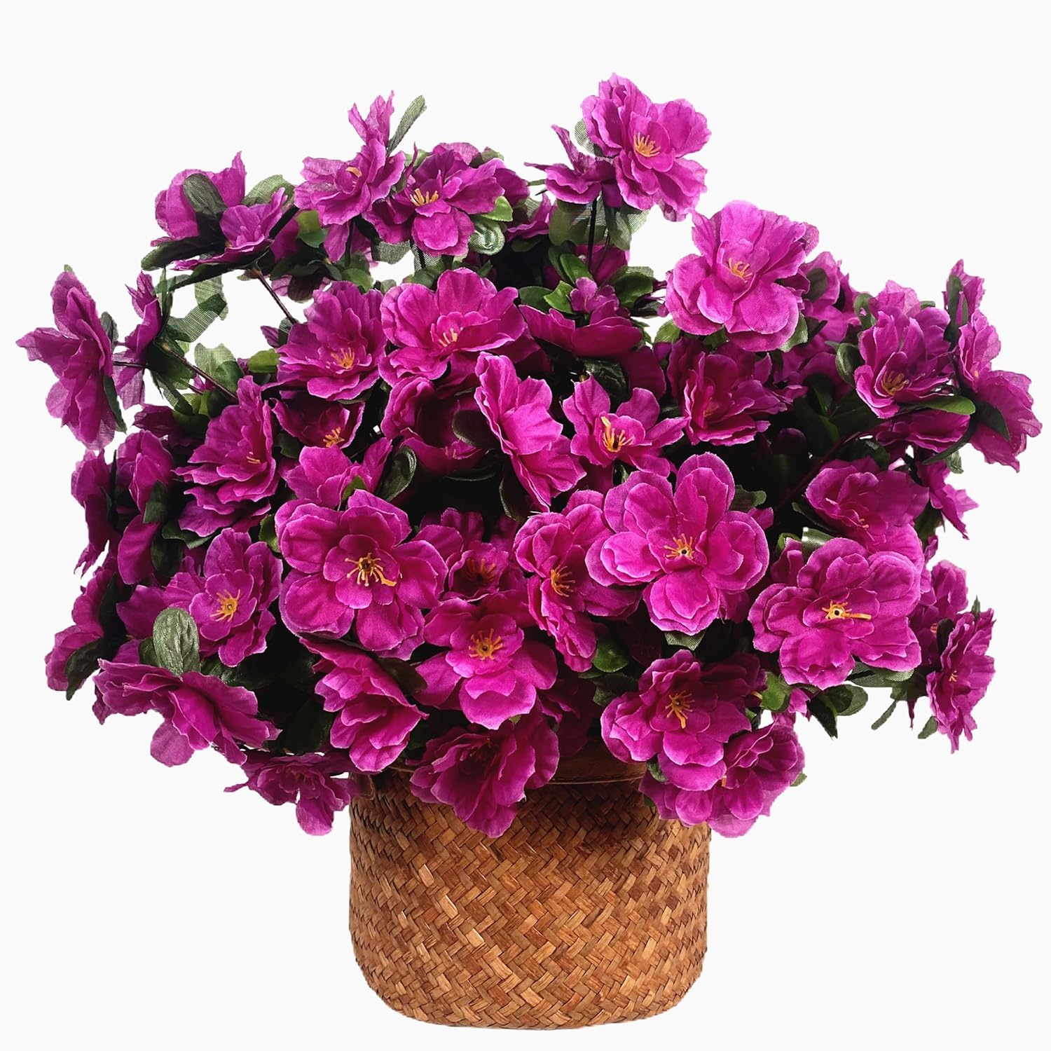 https://m.media-amazon.com/images/I/91SuZ5AVPUL._AC_SL1500_.jpg
