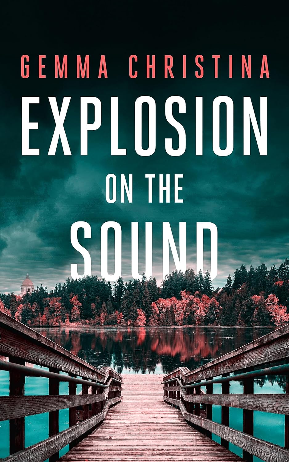 Amazon.com: Explosion on the Sound : A Crime/Mystery/Suspense Series ...