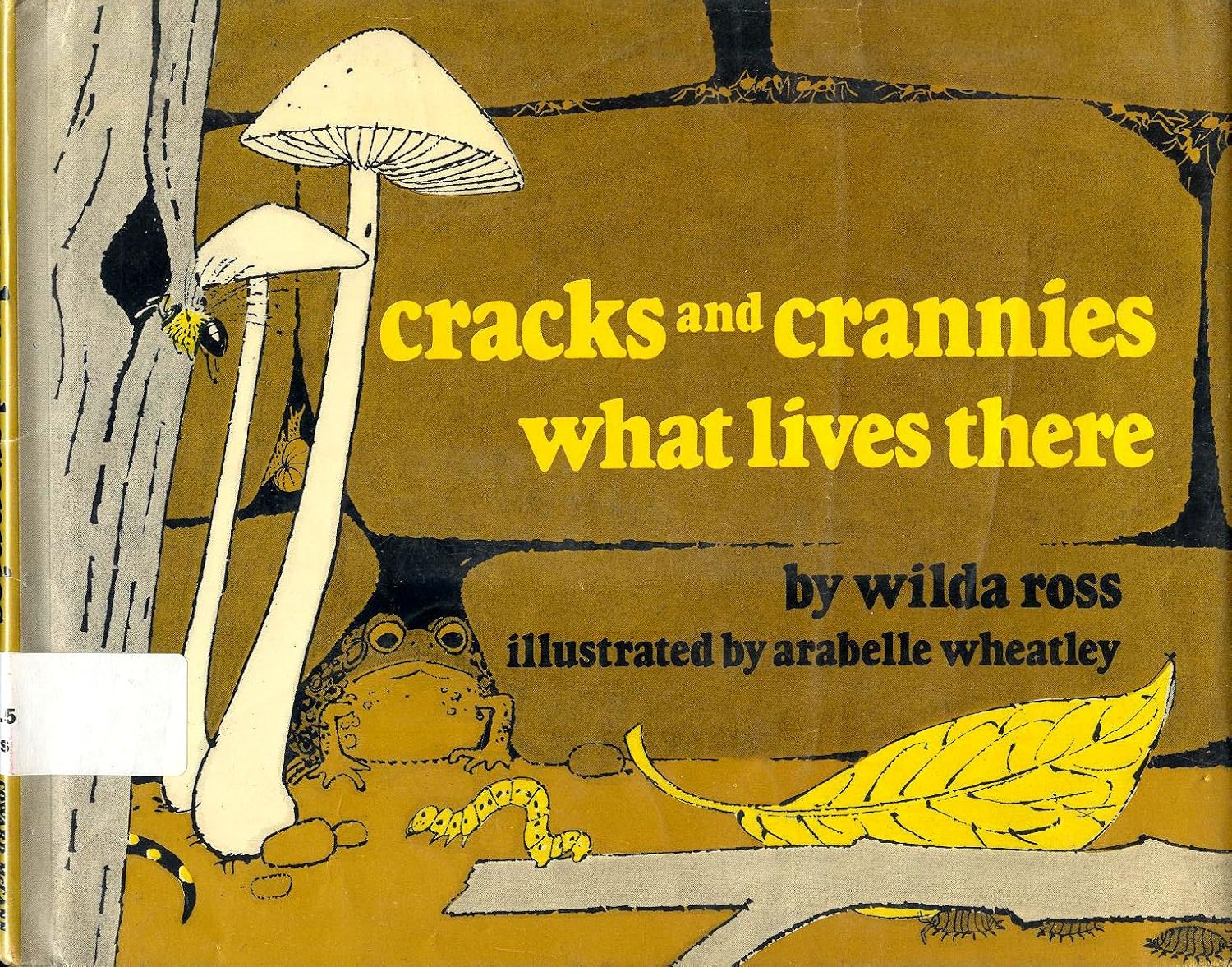 Cracks and crannies What lives there Ross, Wilda S 9780698203464 Books