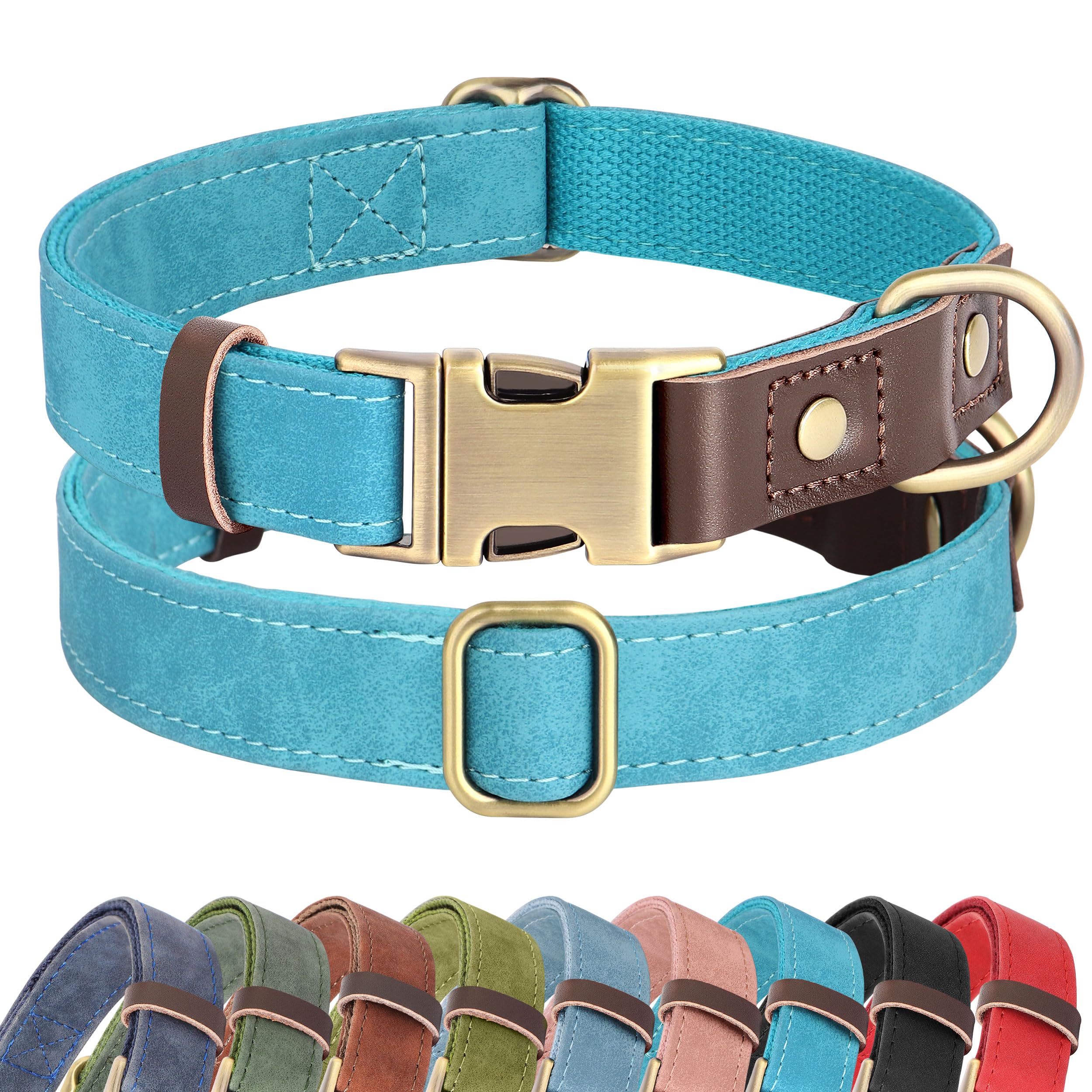 Collier pour chien en cuir Didog : le confort rembourré bleu clair S