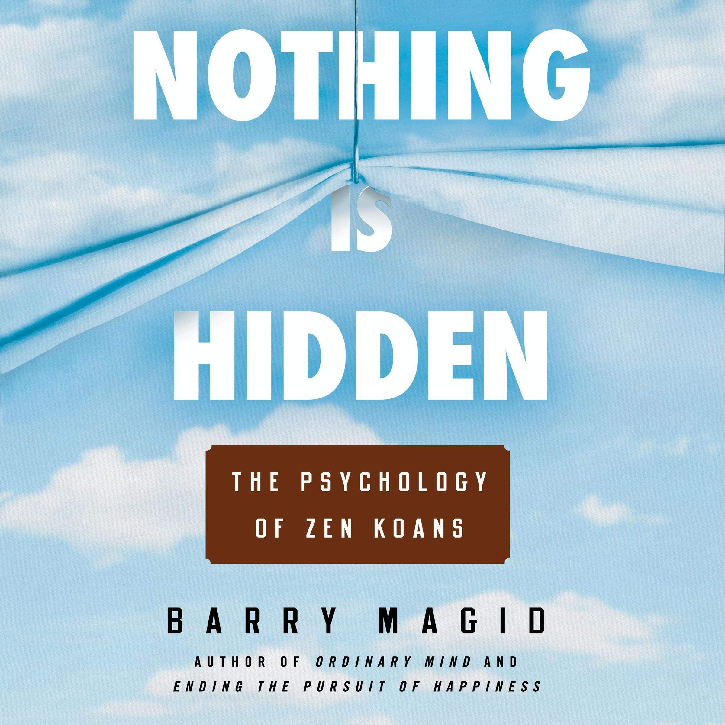 Cover art for Nothing Is Hidden
