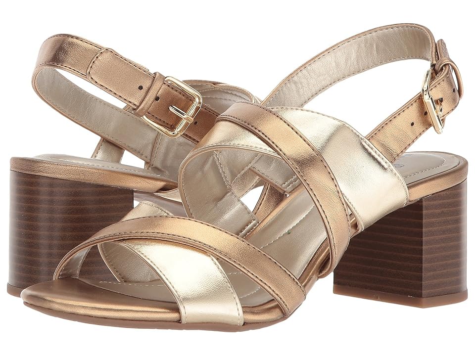 

Bandolino Stepa (Soft Gold/Deep Bronze Metallic Nappa PU) Women's Shoes
