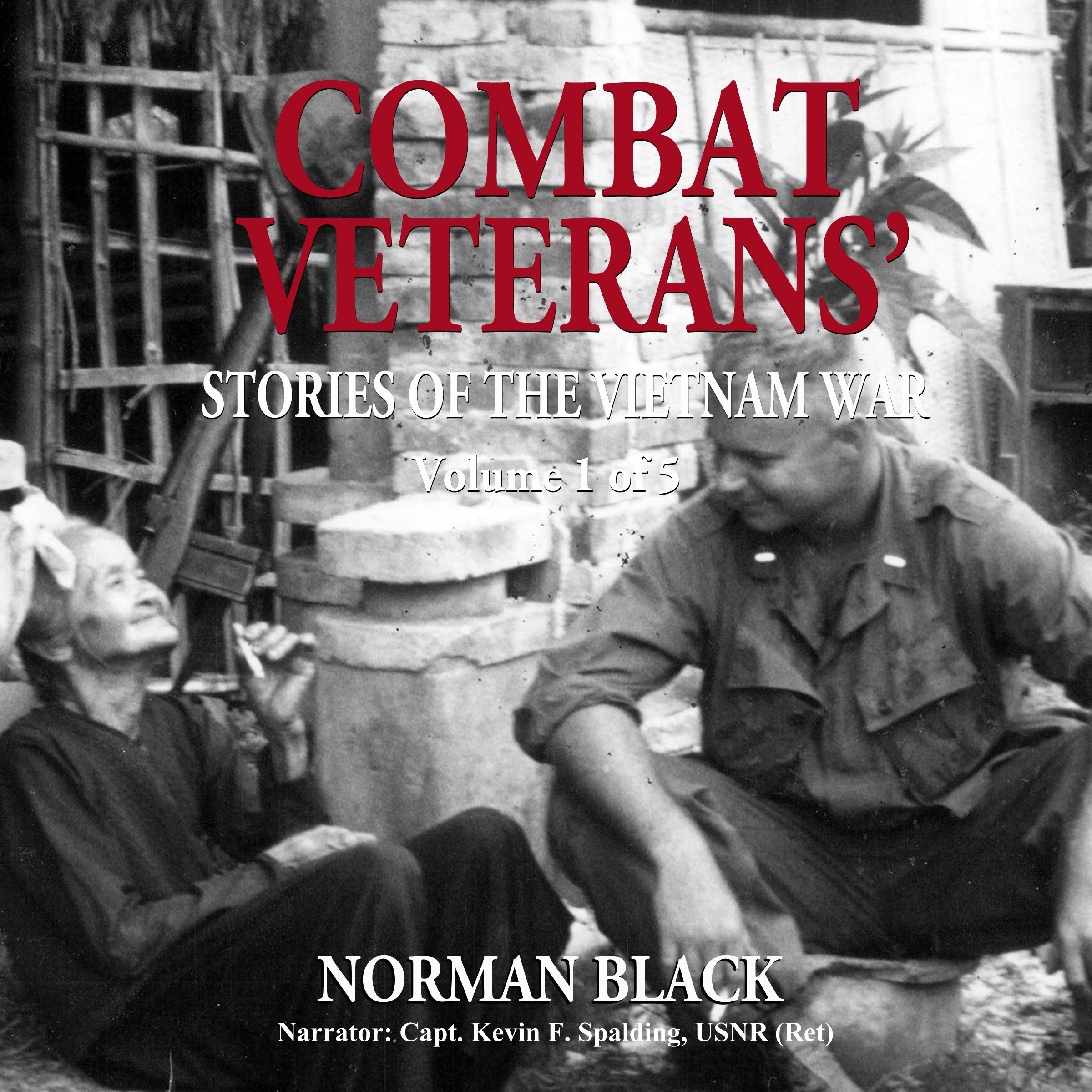 Cover art for Combat Veterans' Stories of the Vietnam War
