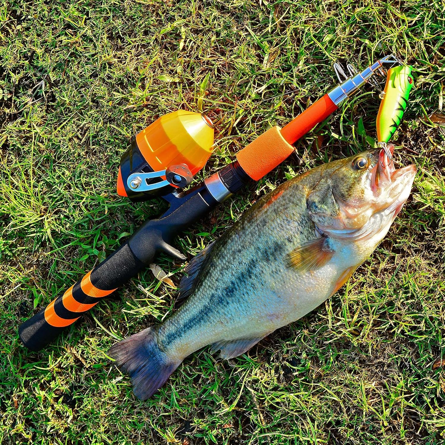 PROBEROS Kids Fishing Pole - Portable Telescopic Fishing Rod and Reel Combo Kit - Spincast Fishing Reel Casting Rods with Lures Lines Tackle Box and Bag for Boys Girls Youth Fishing