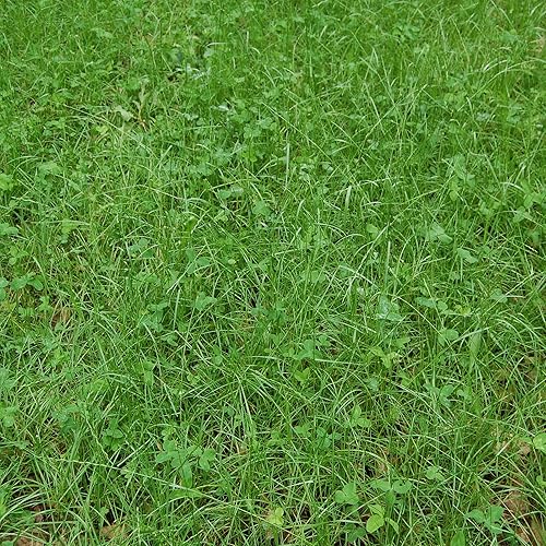 Outsidepride Sweet Spot Northern Deer - Pata de siembra