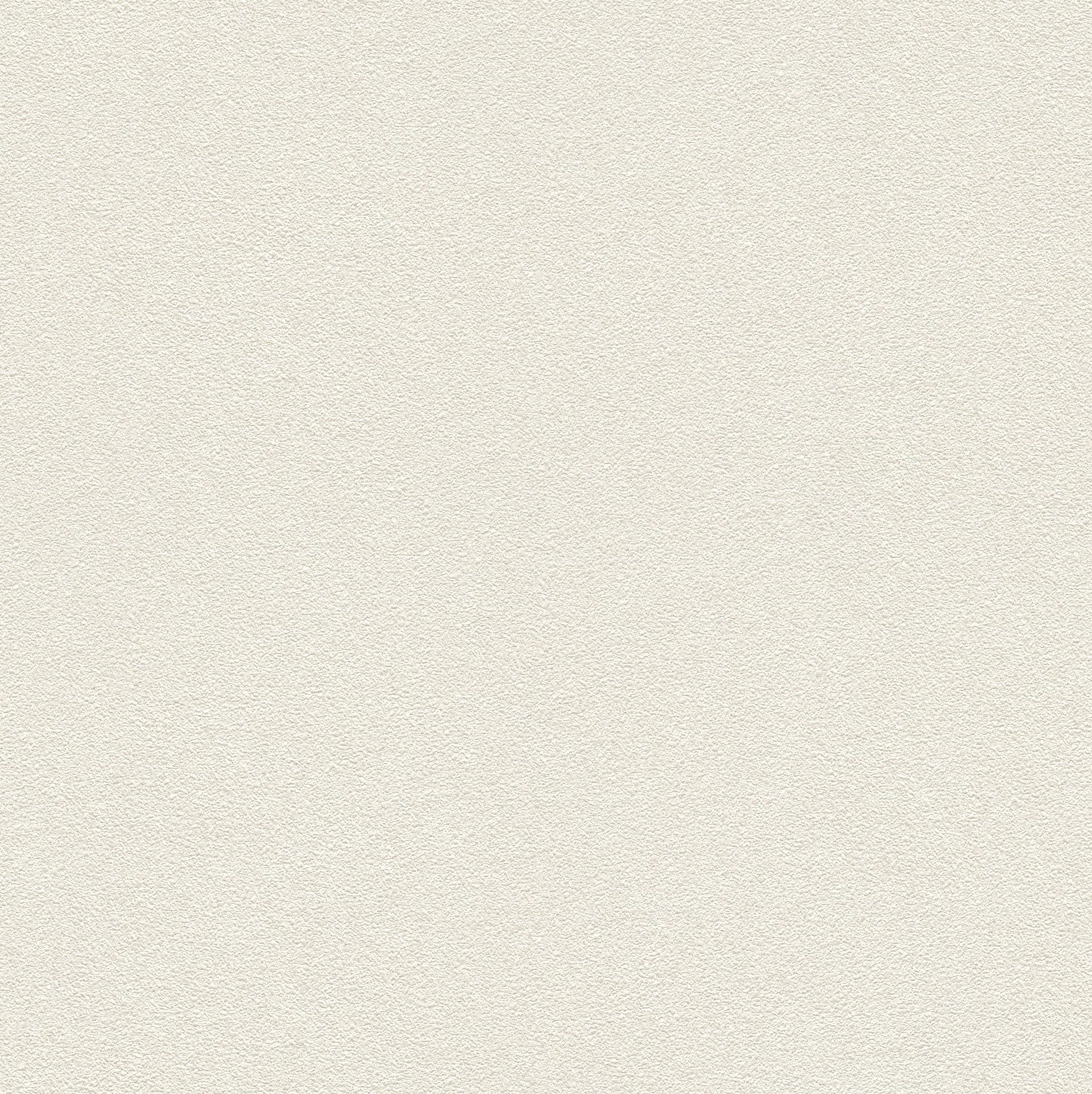 Papier peint Rasch 606638 tapisserie intissée texturée Passepartout
