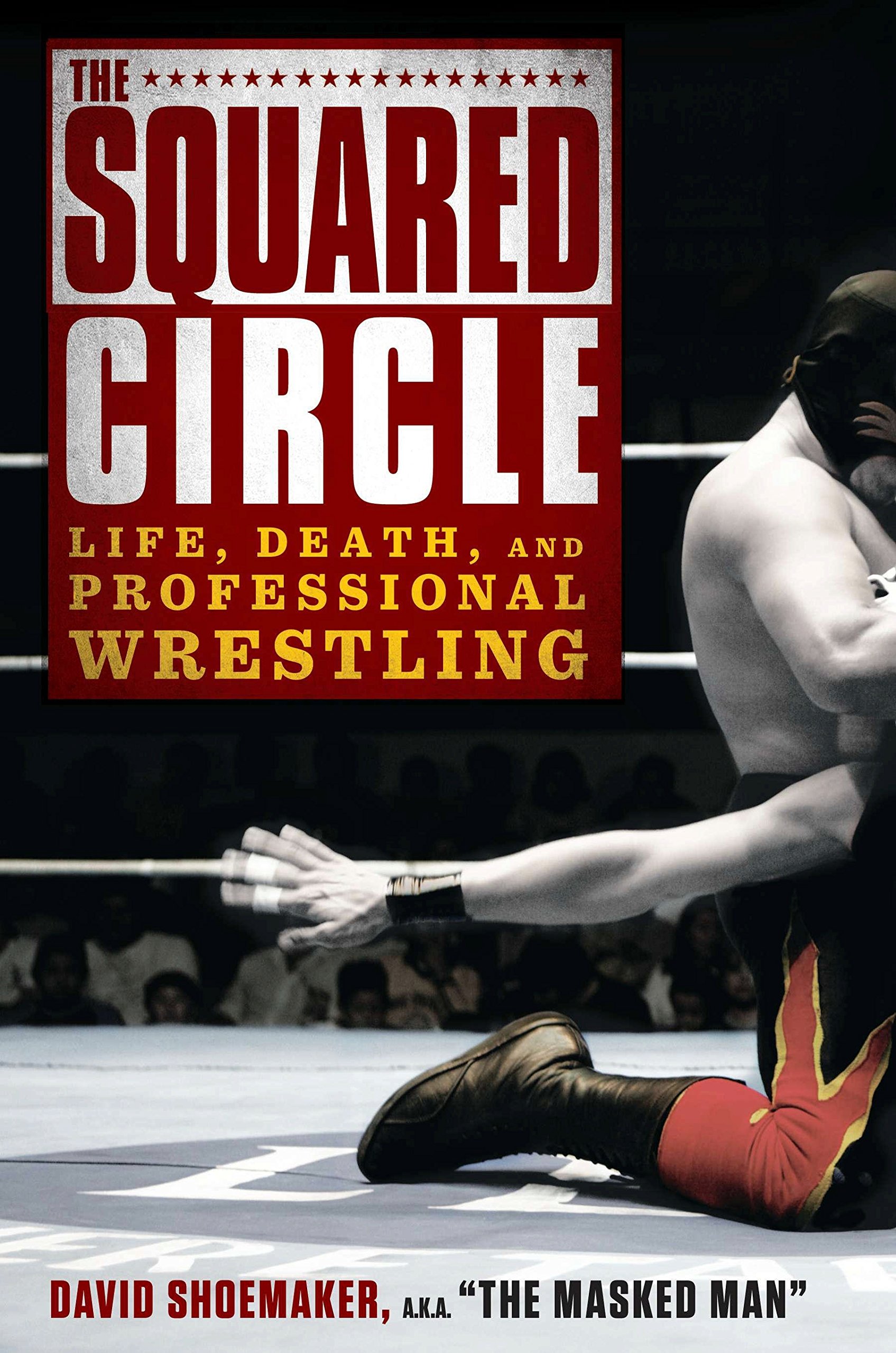 The Squared Circle: Life, Death, and Professional Wrestling Hardcover – October 31, 2013