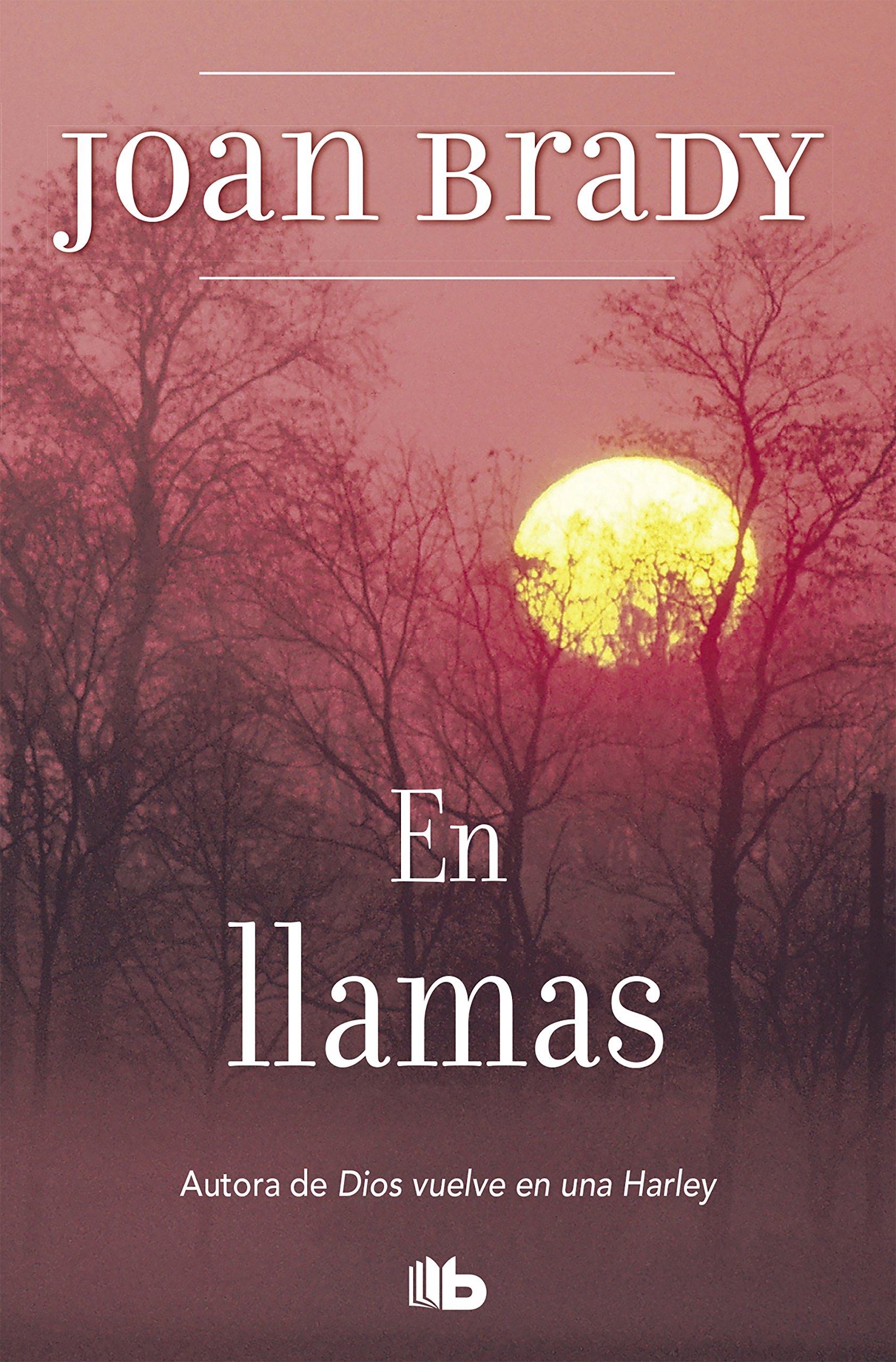 En llamas (Spanish Edition)
