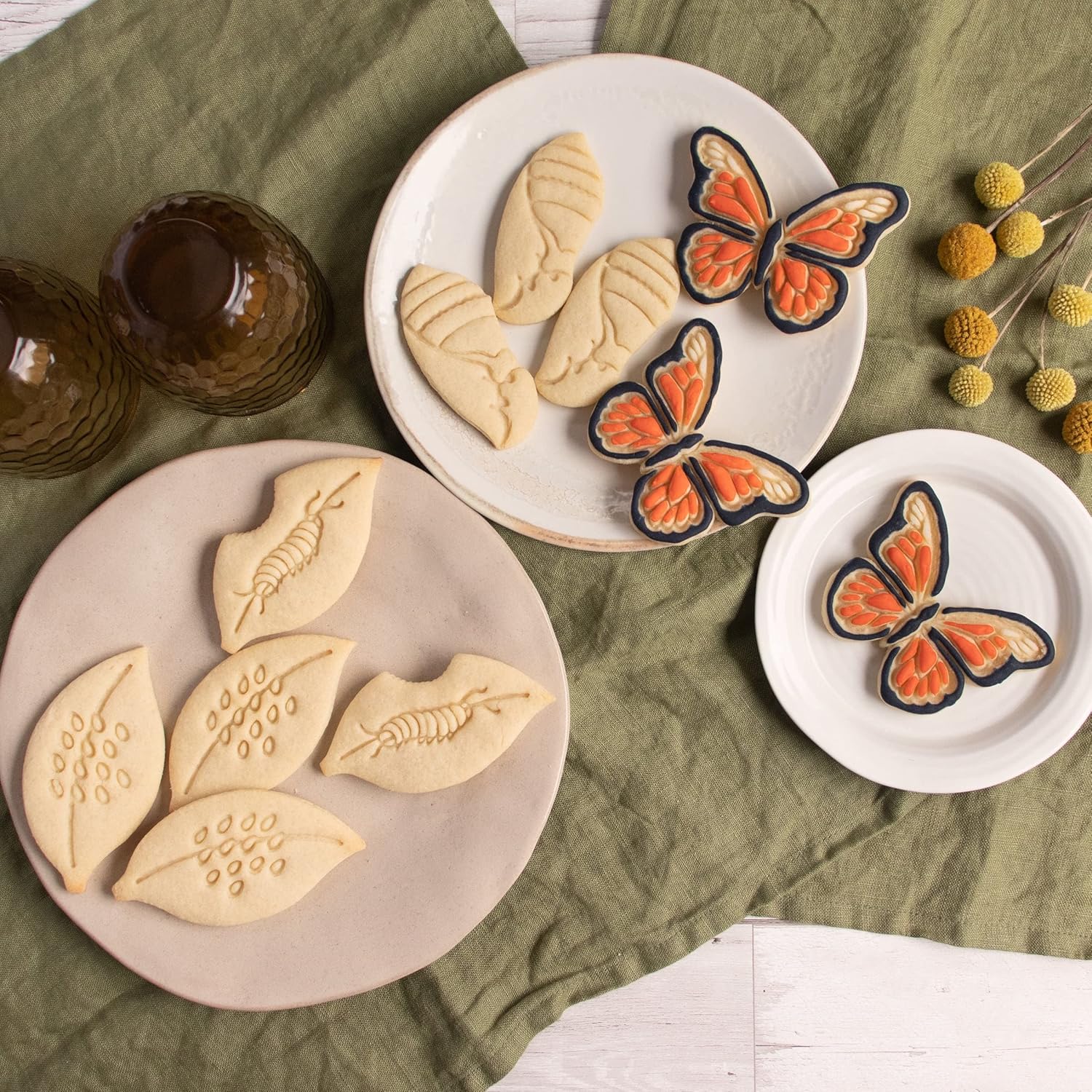 Set of 4 Monarch Butterfly Life Cycle Stages (Designs: Eggs, Caterpillar, Chrysalis, and Butterfly), 4 pieces - Bakerlogy