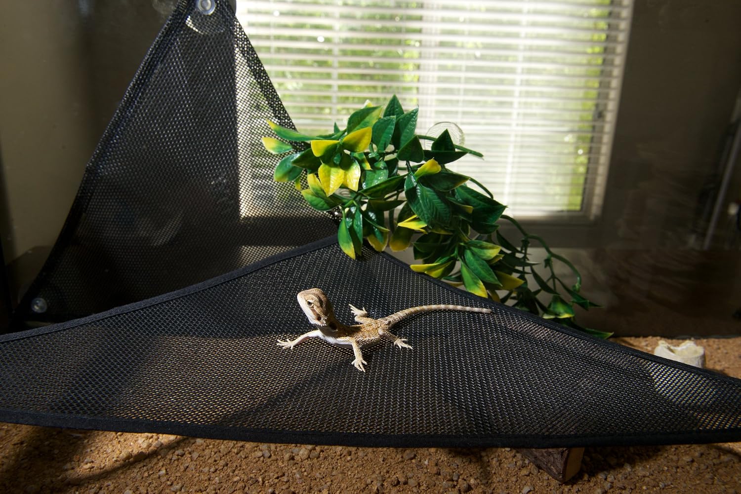GenRev 2pc Reptile Hammock Lounger Accessories Set for Large & Small Bearded Dragons Anoles Geckos Lizards or Snakes -19x13x13in Hammock – with Water/Food Dish