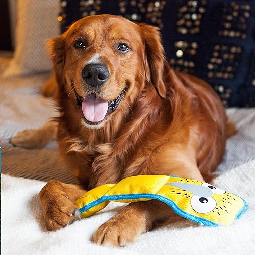 Vista 56 de Outward Hound - Fire Biterz. Juguetes chillones para perro hechos de material para mangueras contra incendio reales Rojo (Red Dragon)