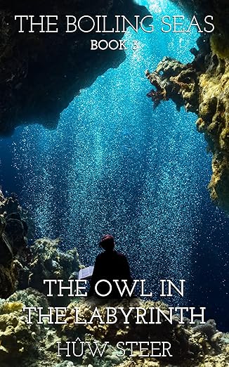 The Owl in the Labyrinth