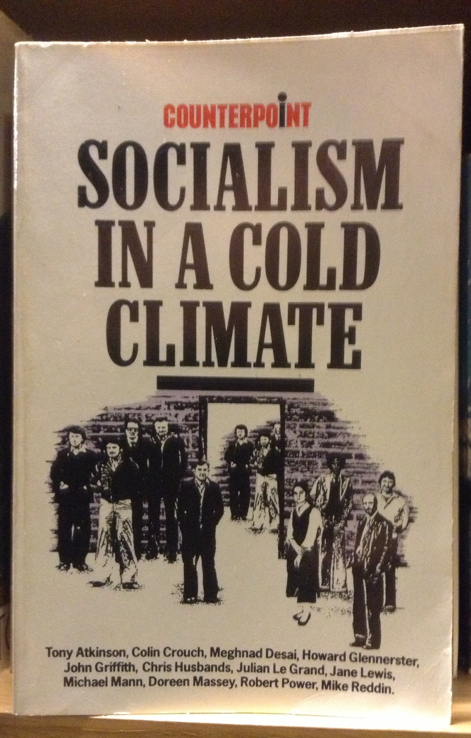 Buy Socialism in a Cold Climate (Counterpoint S.) — BookShops.in