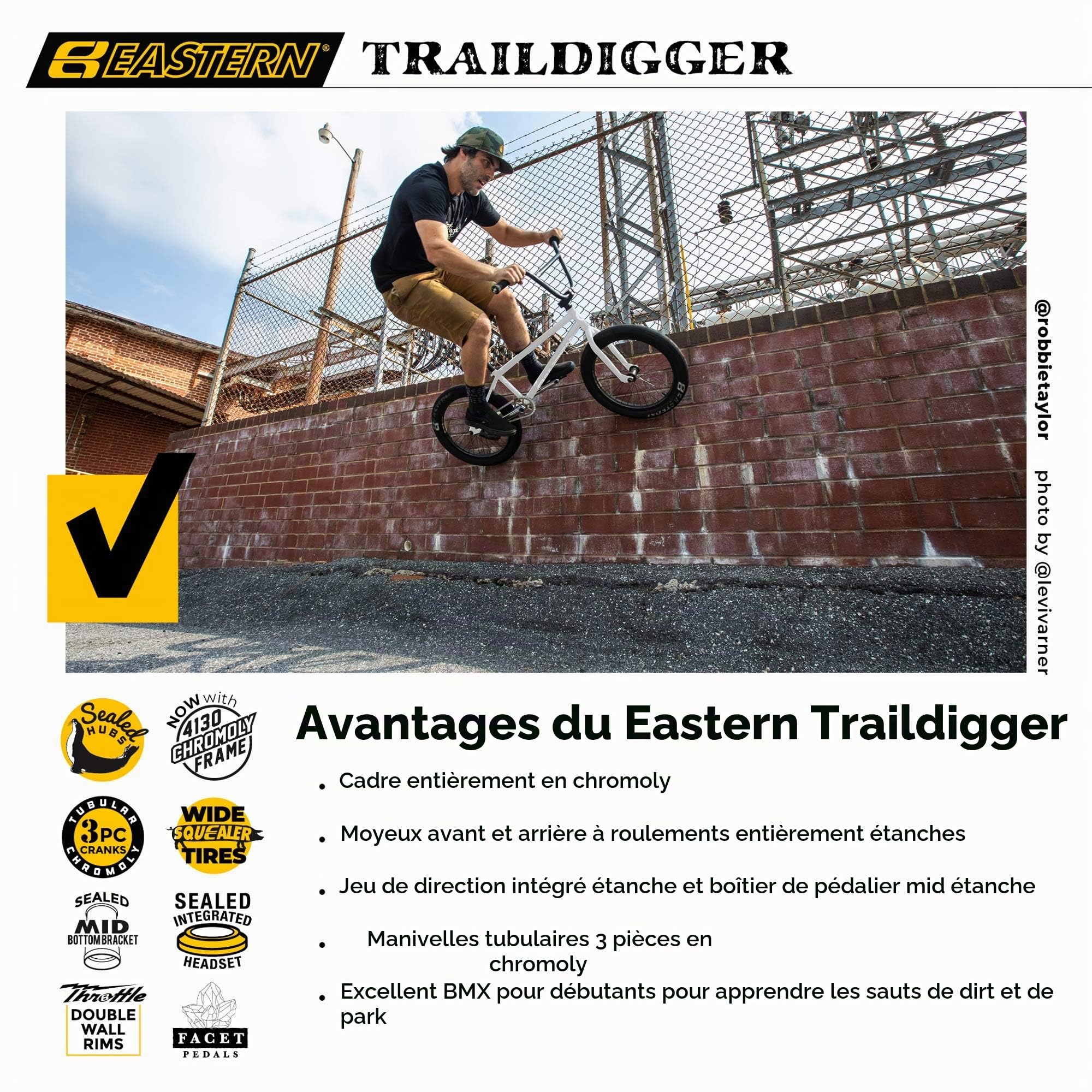 Eastern Bikes Traildigger Vélo BMX 20 Pouces Cadre en Chromoly Complet
